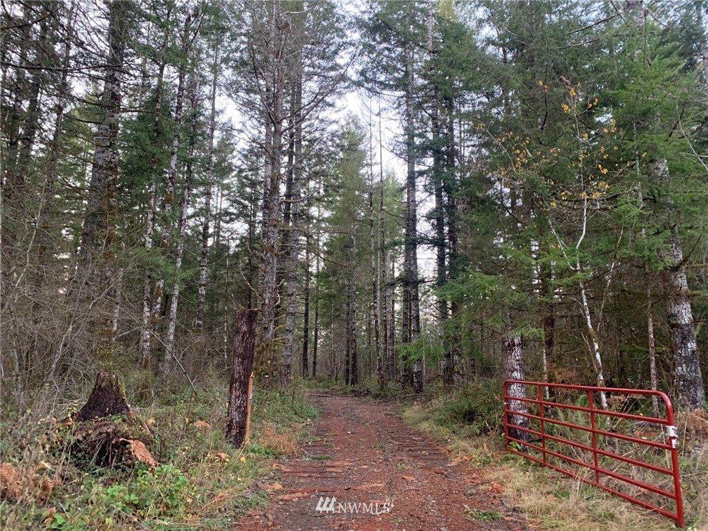 0 West Ford Loop Road Elma, WA 98541 - Photo 1 of 13 Gallery Image 1