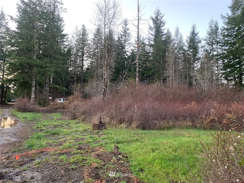0 West Ford Loop Road Elma, WA 98541 - Photo 3 of 13 Gallery Image 3
