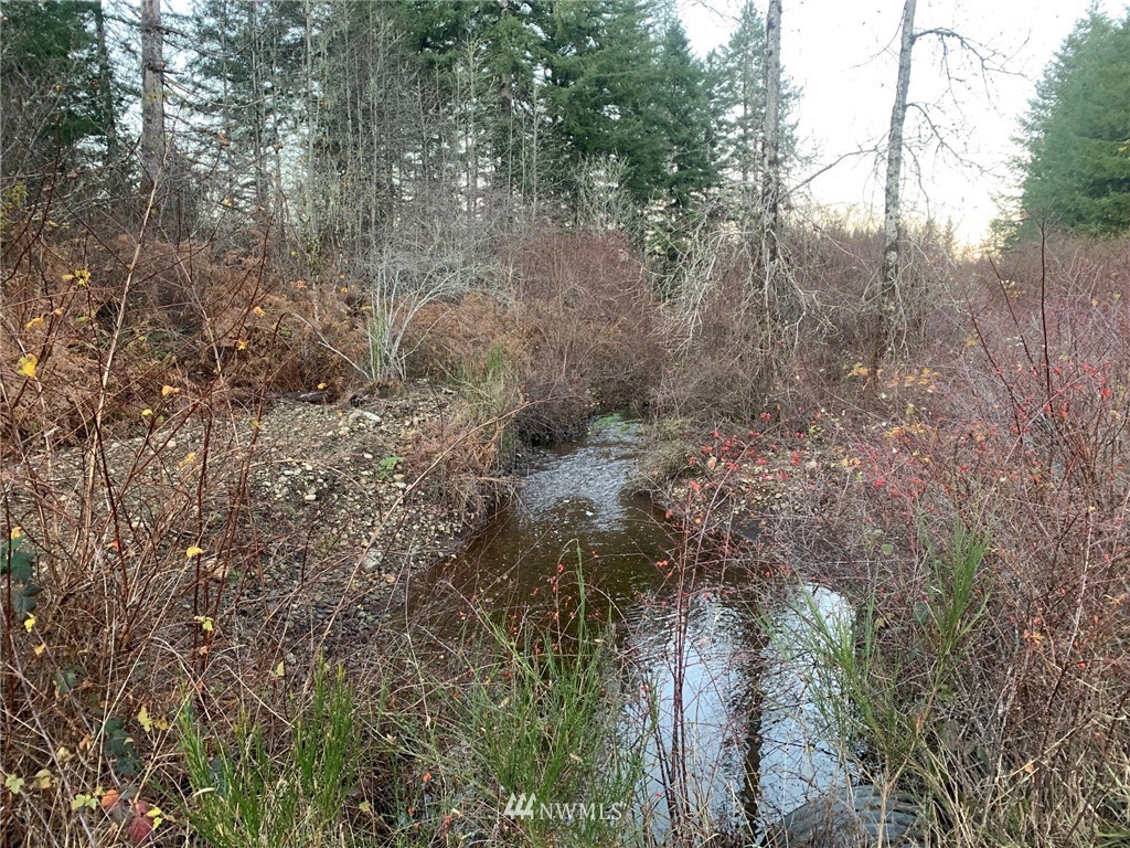 0 West Ford Loop Road Elma, WA 98541 - Photo 10 of 13 Gallery Image 10