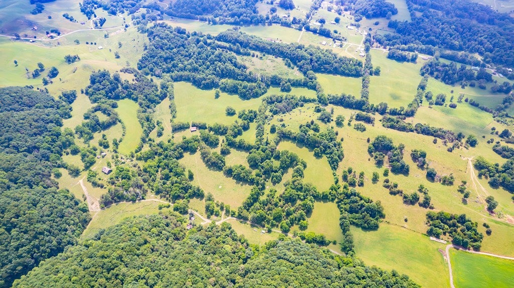 69.65-ac Widener Valley Road Glade Spring, VA 24340 - Photo 4 of 19 Gallery Image 4