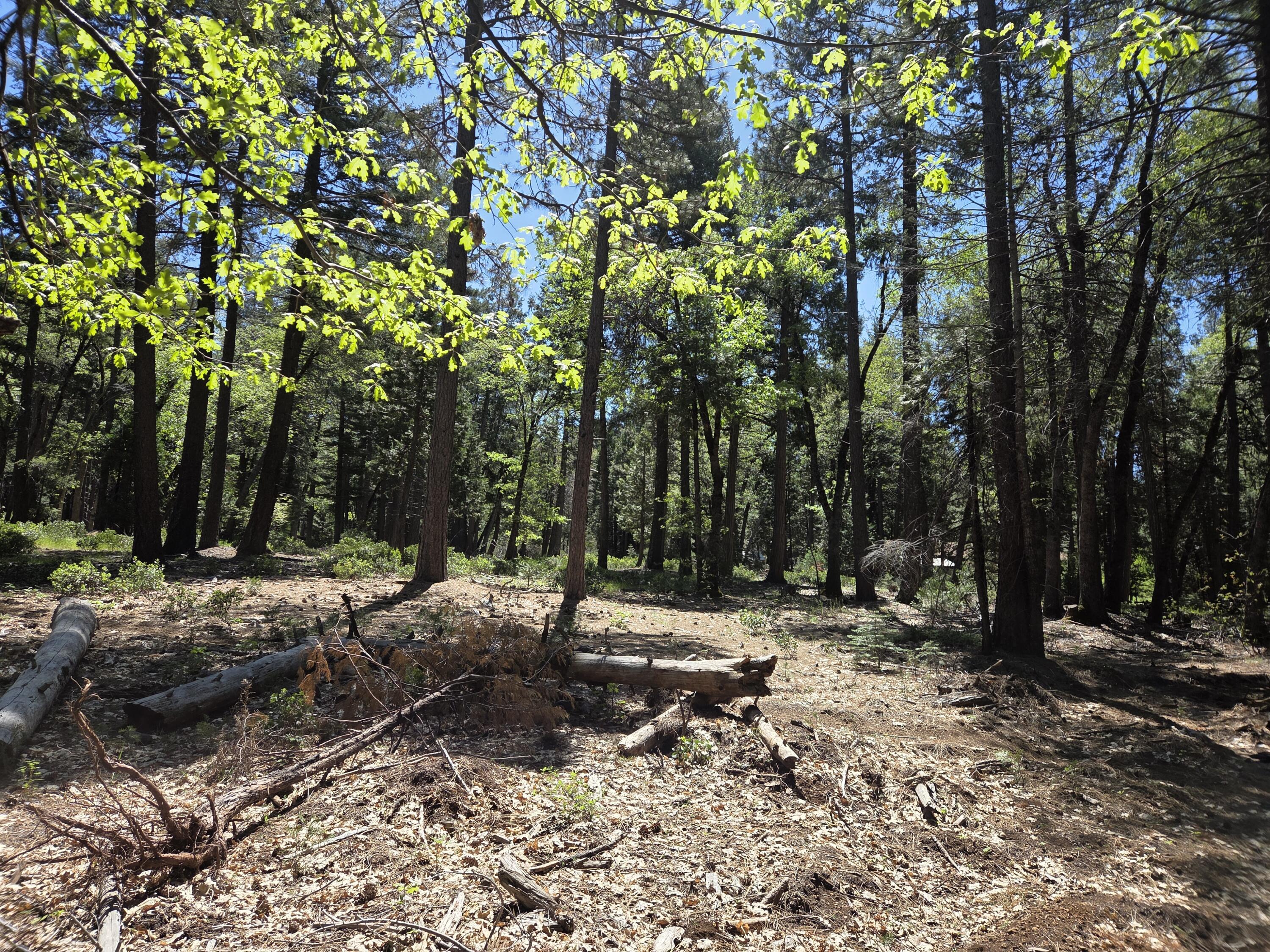 Lot 4 Ritts Mill Road Shingletown, CA 96088 - Photo 2 of 8 a backyard of a house with lots of green space