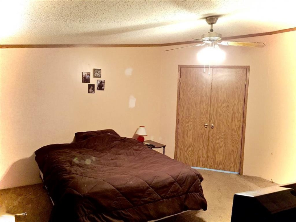 1385 North Blair Road Ithaca, MI 48847 - Photo 24 of 34 1817811-26