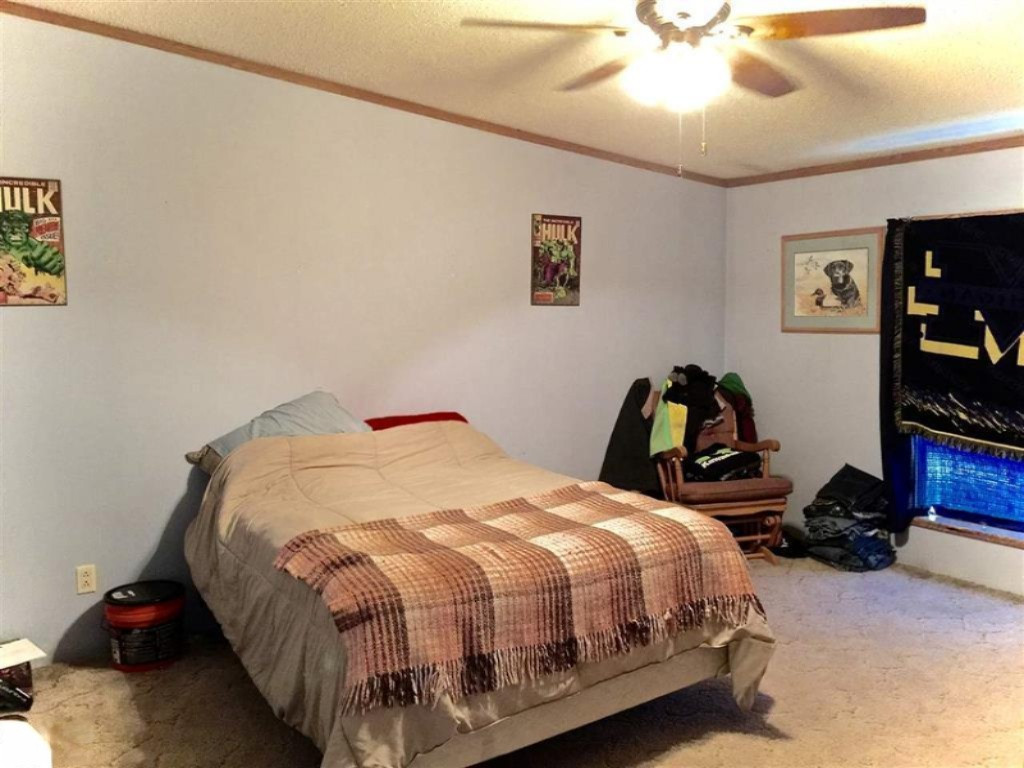 1385 North Blair Road Ithaca, MI 48847 - Photo 26 of 34 1817811-28