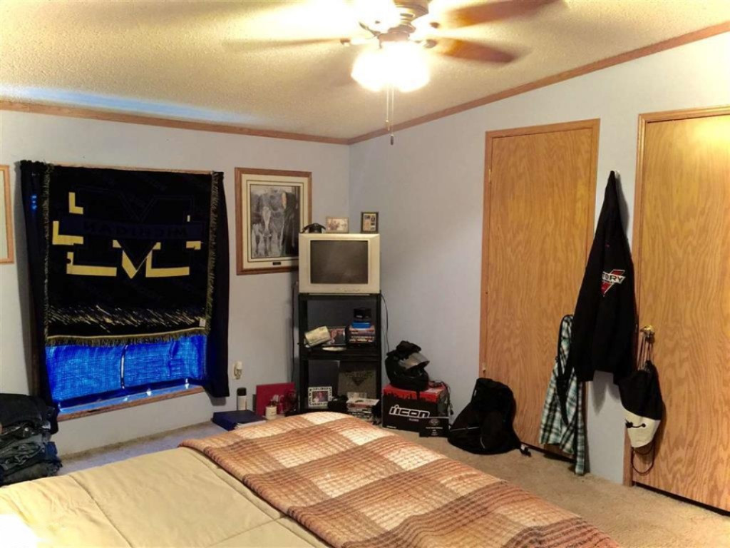 1385 North Blair Road Ithaca, MI 48847 - Photo 27 of 34 1817811-29