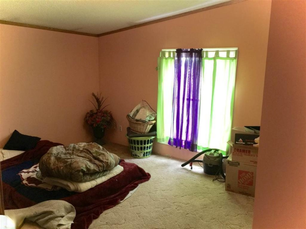 1385 North Blair Road Ithaca, MI 48847 - Photo 33 of 34 1817811-35