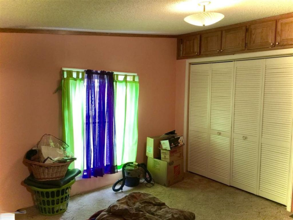 1385 North Blair Road Ithaca, MI 48847 - Photo 34 of 34 1817811-36