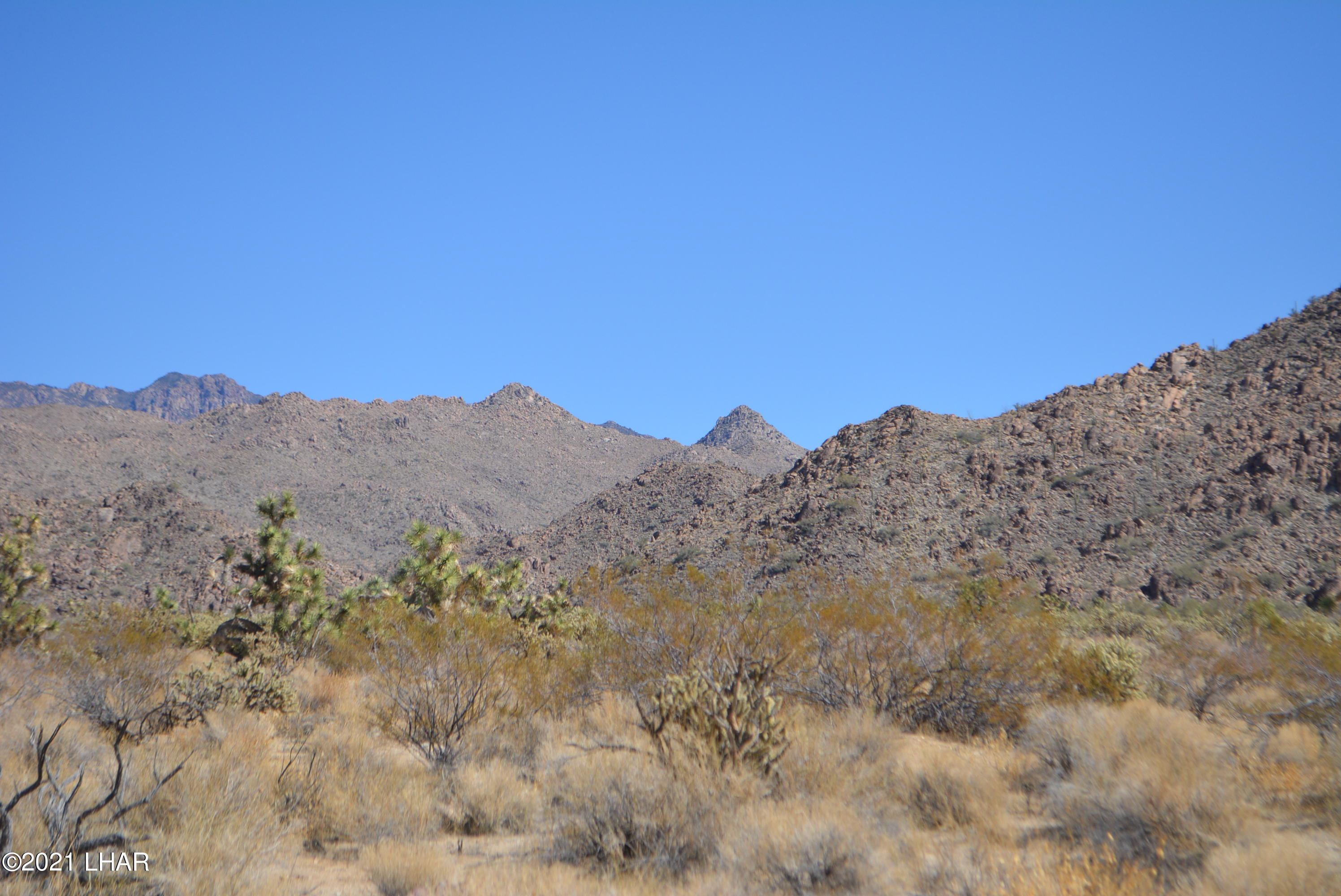 11591 Sherry Road Yucca, AZ 86438 - Photo 1 of 39 DSC_0796