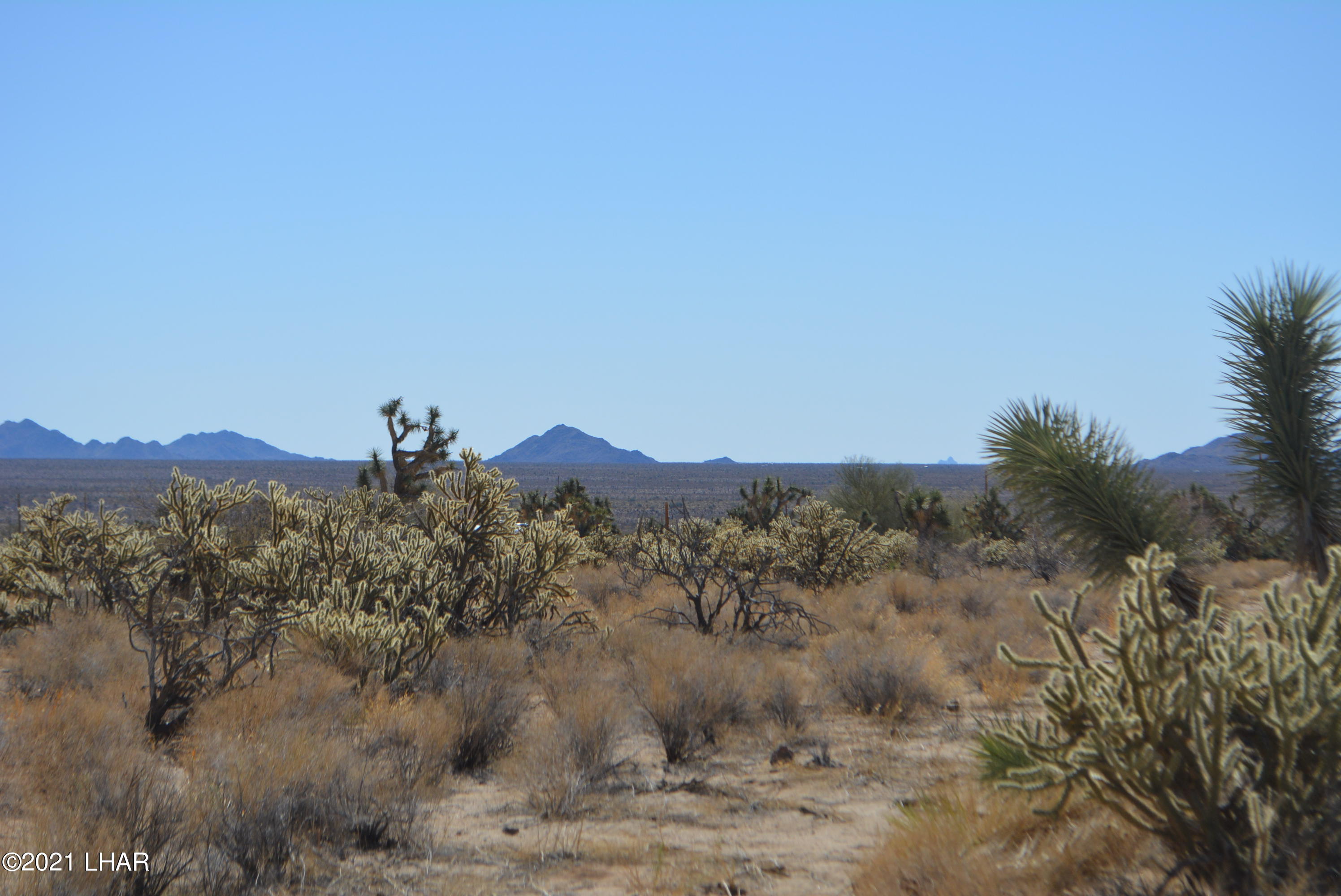 11591 Sherry Road Yucca, AZ 86438 - Photo 11 of 39 DSC_0806
