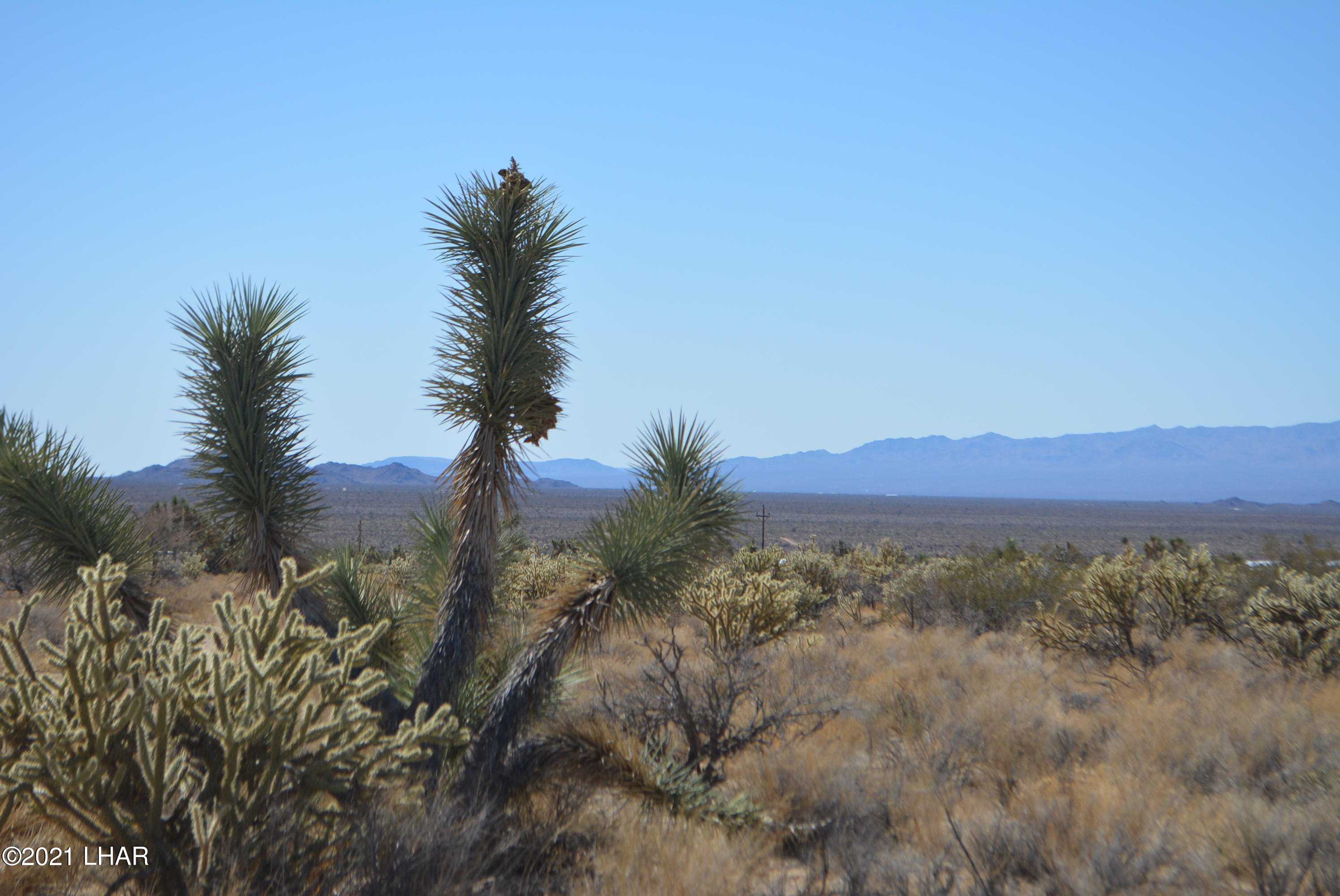 11591 Sherry Road Yucca, AZ 86438 - Photo 12 of 39 DSC_0807