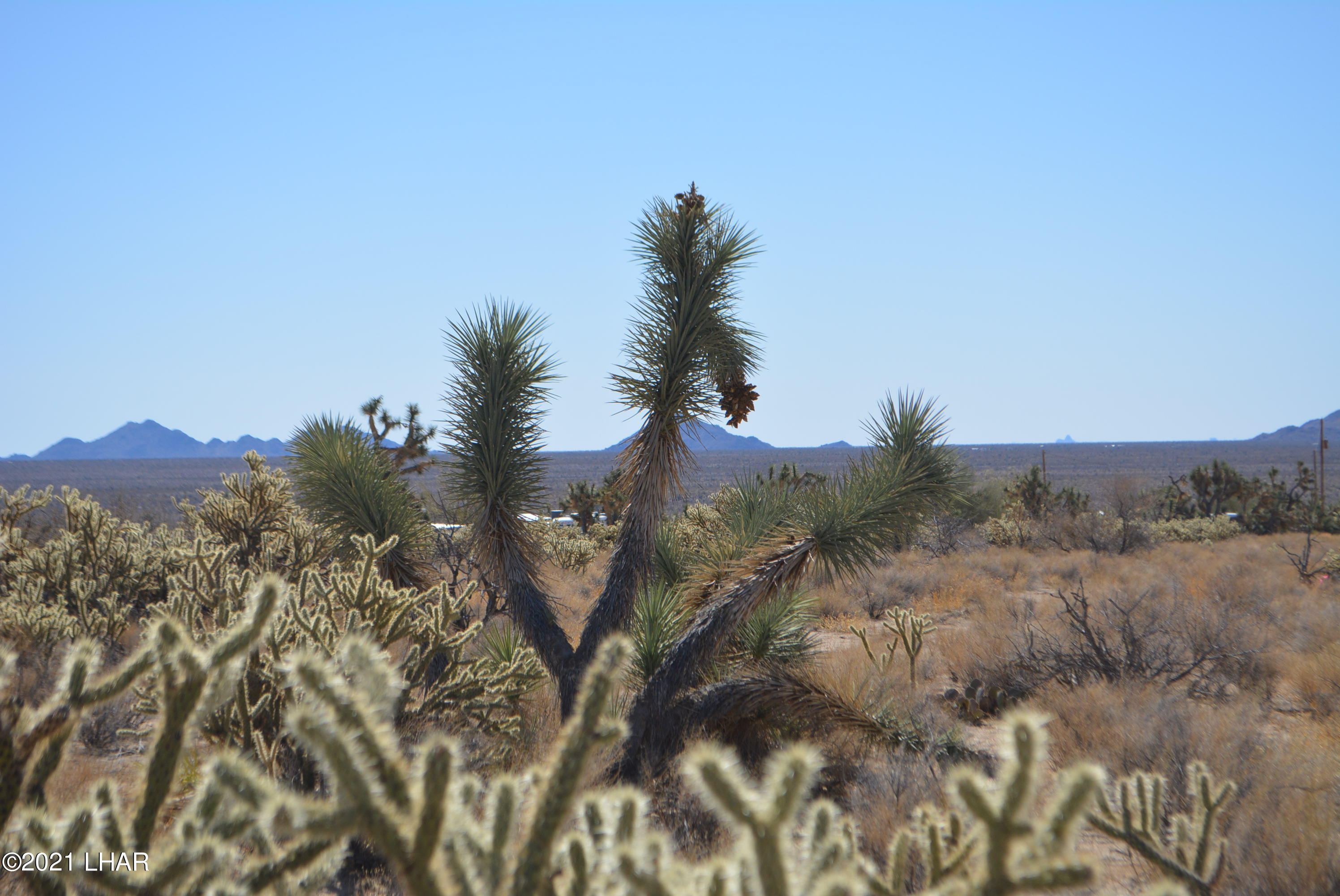 11591 Sherry Road Yucca, AZ 86438 - Photo 13 of 39 DSC_0772