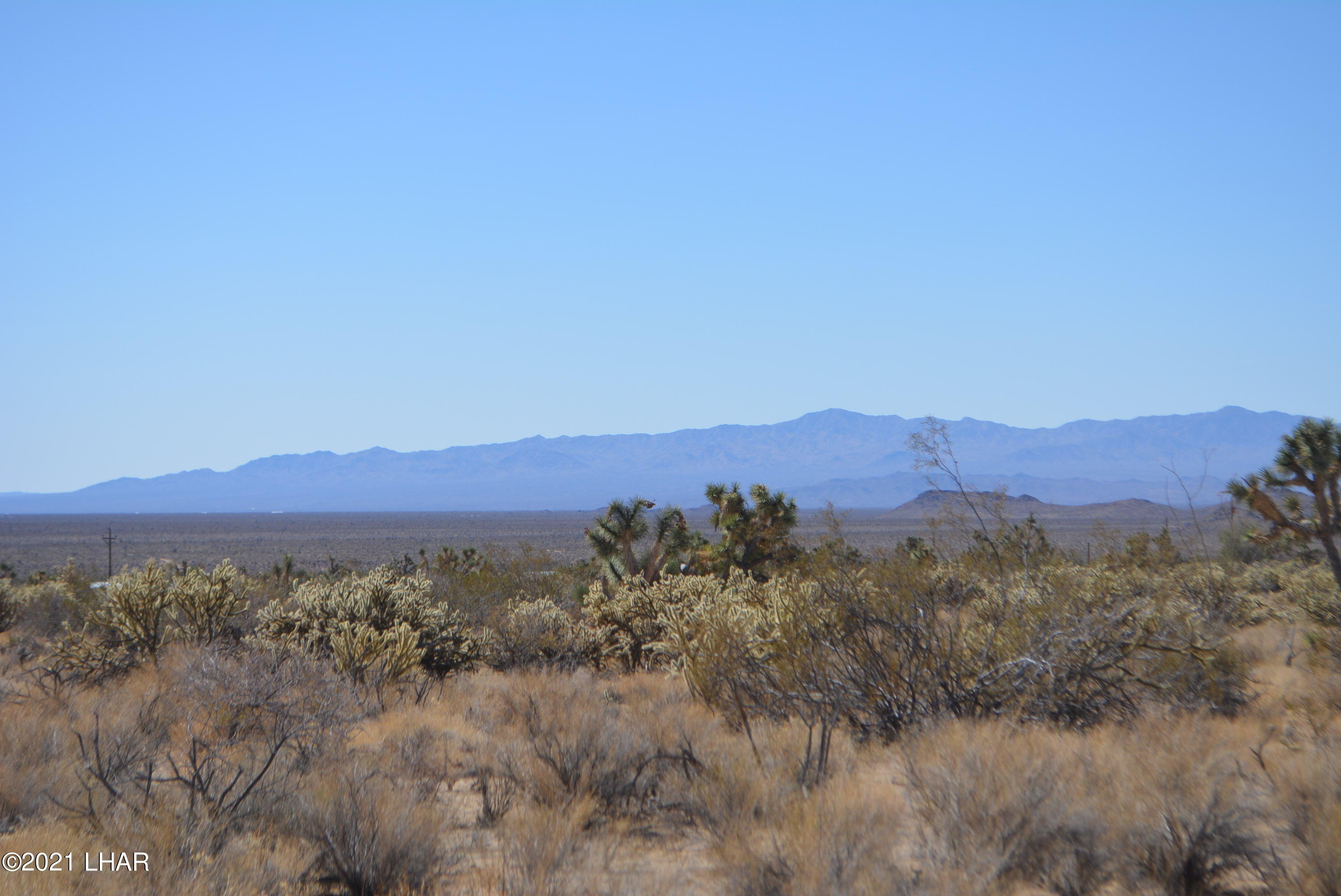 11591 Sherry Road Yucca, AZ 86438 - Photo 16 of 39 DSC_0775