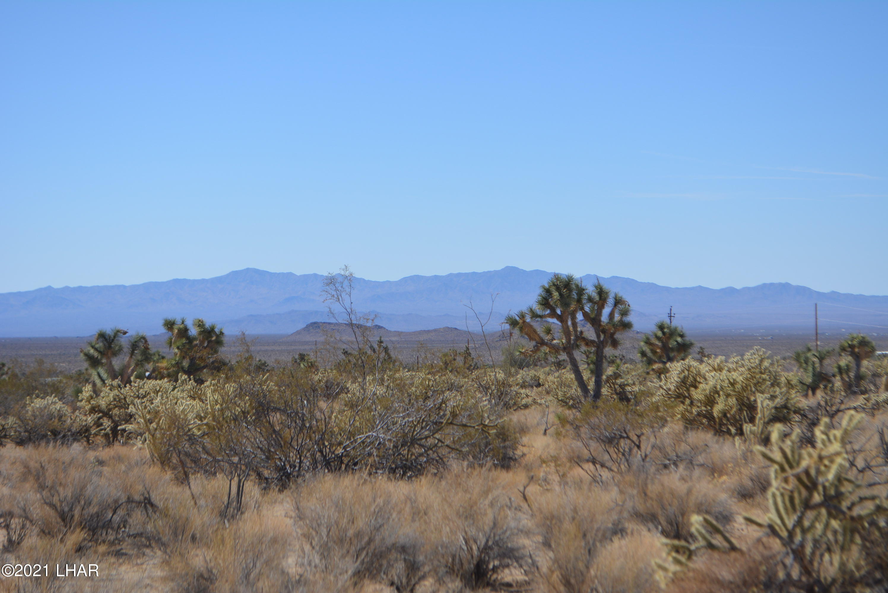 11591 Sherry Road Yucca, AZ 86438 - Photo 17 of 39 DSC_0776