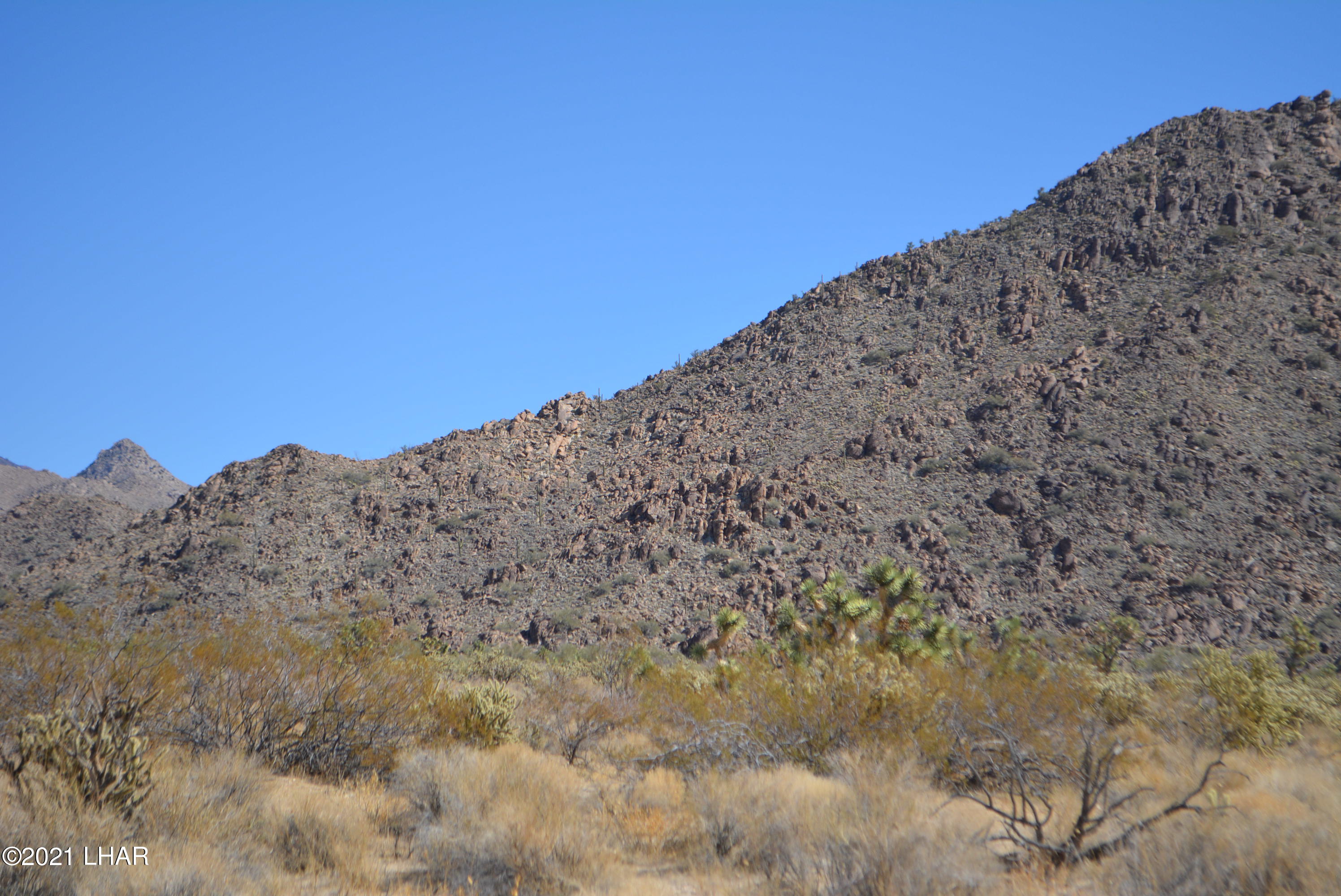 11591 Sherry Road Yucca, AZ 86438 - Photo 2 of 39 DSC_0797
