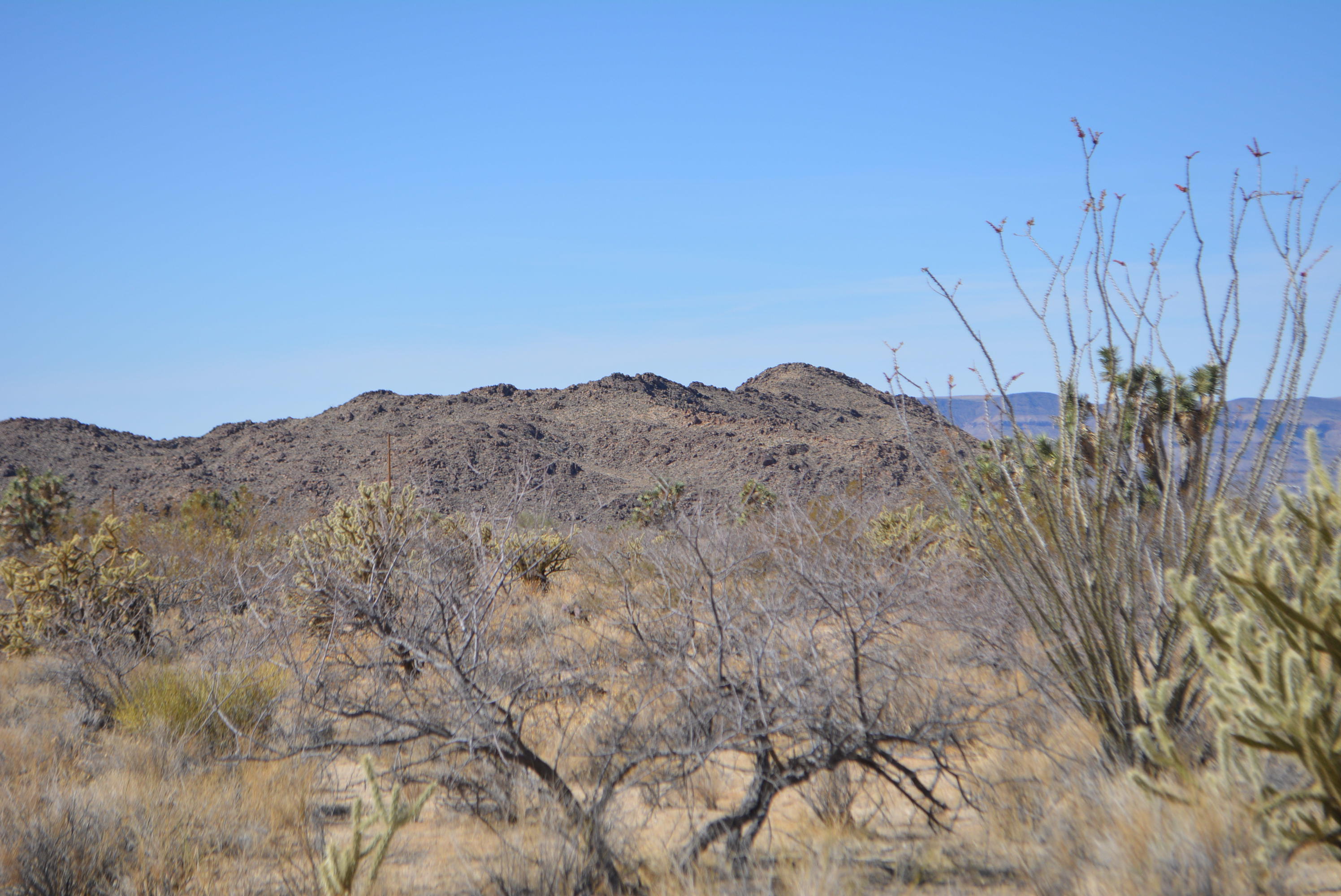 11591 Sherry Road Yucca, AZ 86438 - Photo 22 of 39 DSC_0781