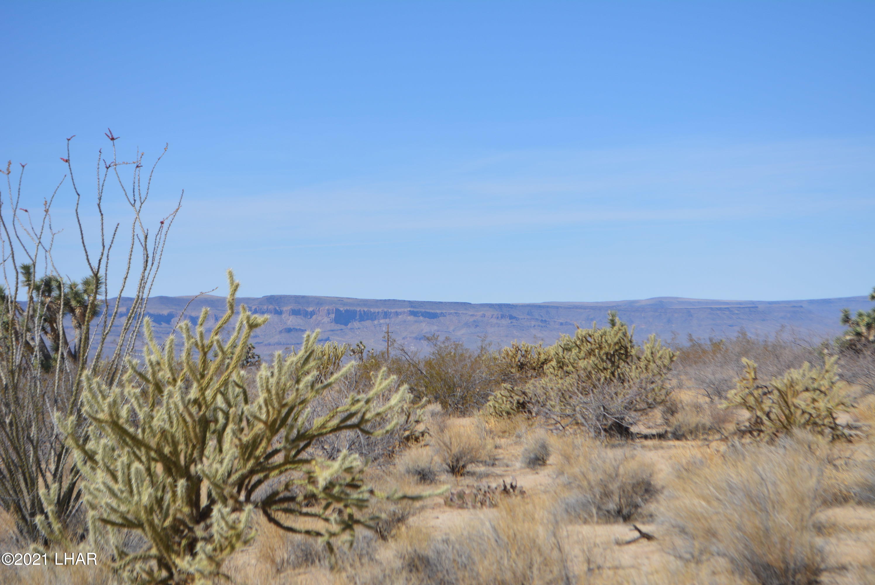 11591 Sherry Road Yucca, AZ 86438 - Photo 24 of 39 DSC_0783