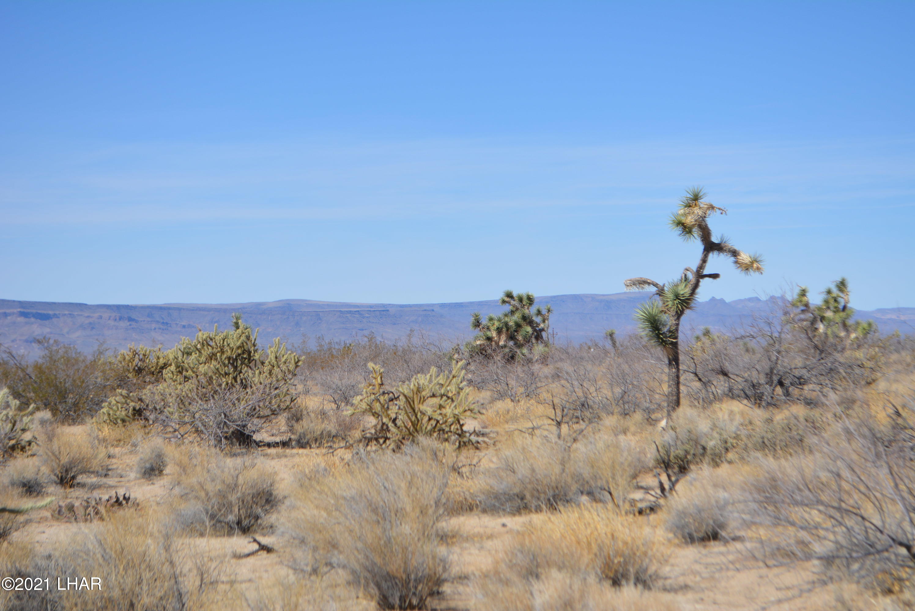 11591 Sherry Road Yucca, AZ 86438 - Photo 25 of 39 DSC_0784