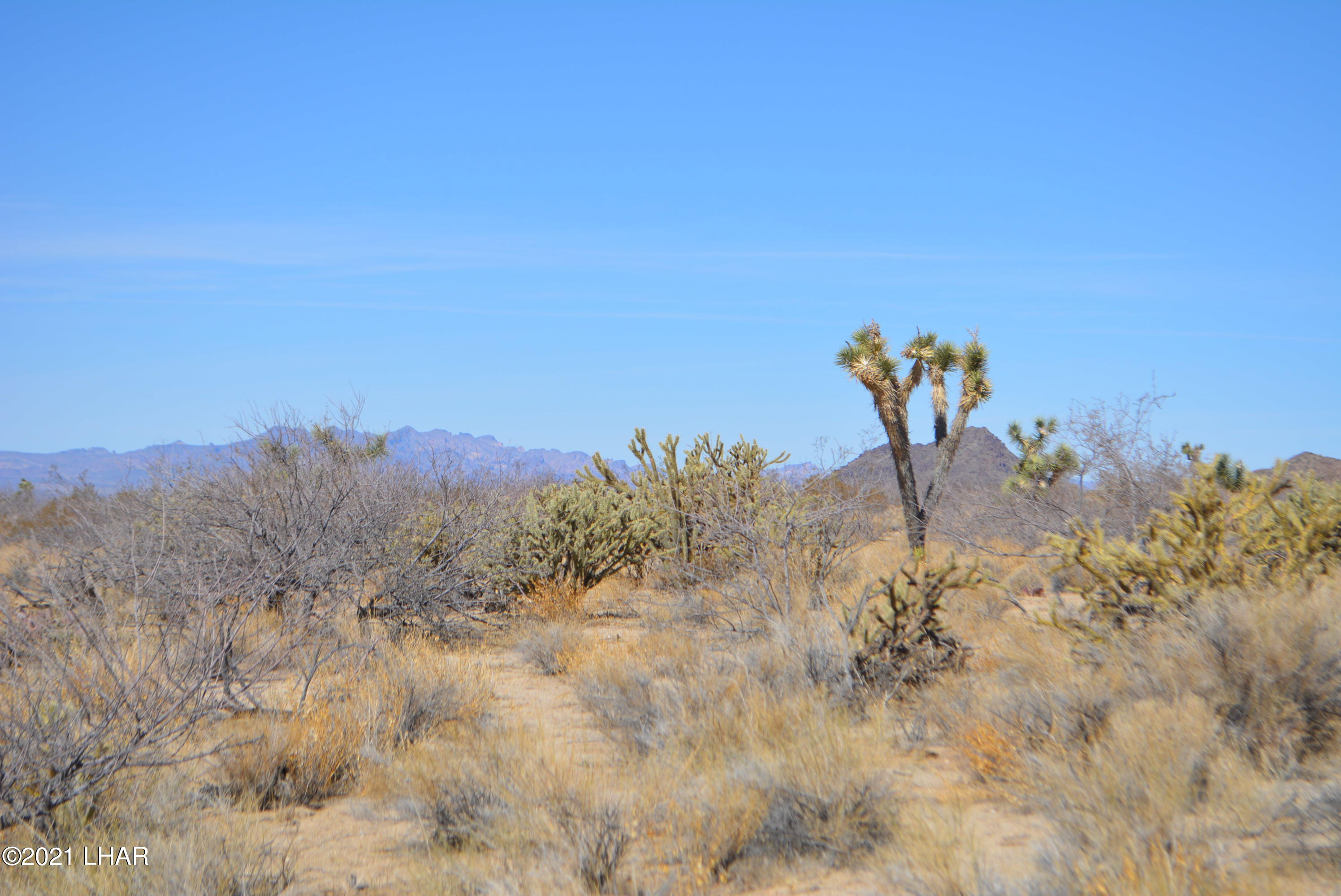 11591 Sherry Road Yucca, AZ 86438 - Photo 27 of 39 DSC_0786