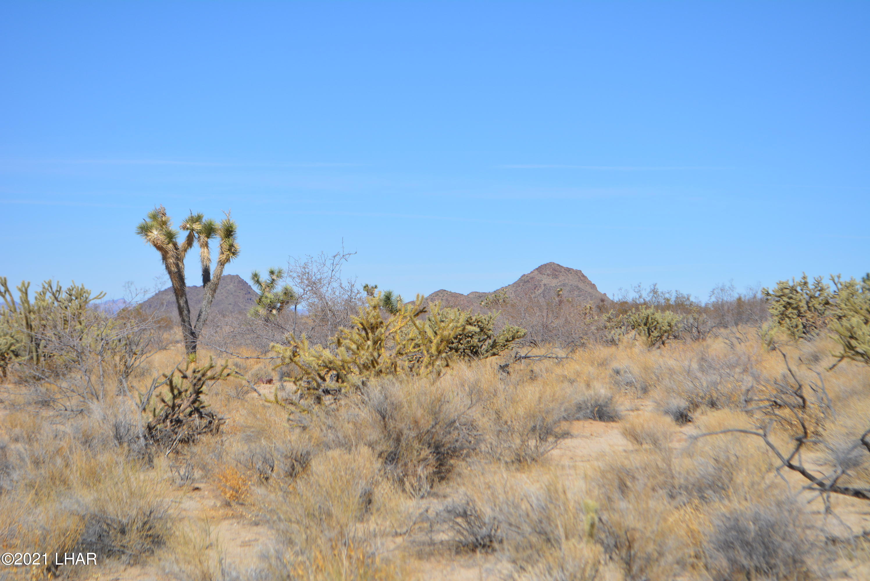 11591 Sherry Road Yucca, AZ 86438 - Photo 28 of 39 DSC_0787