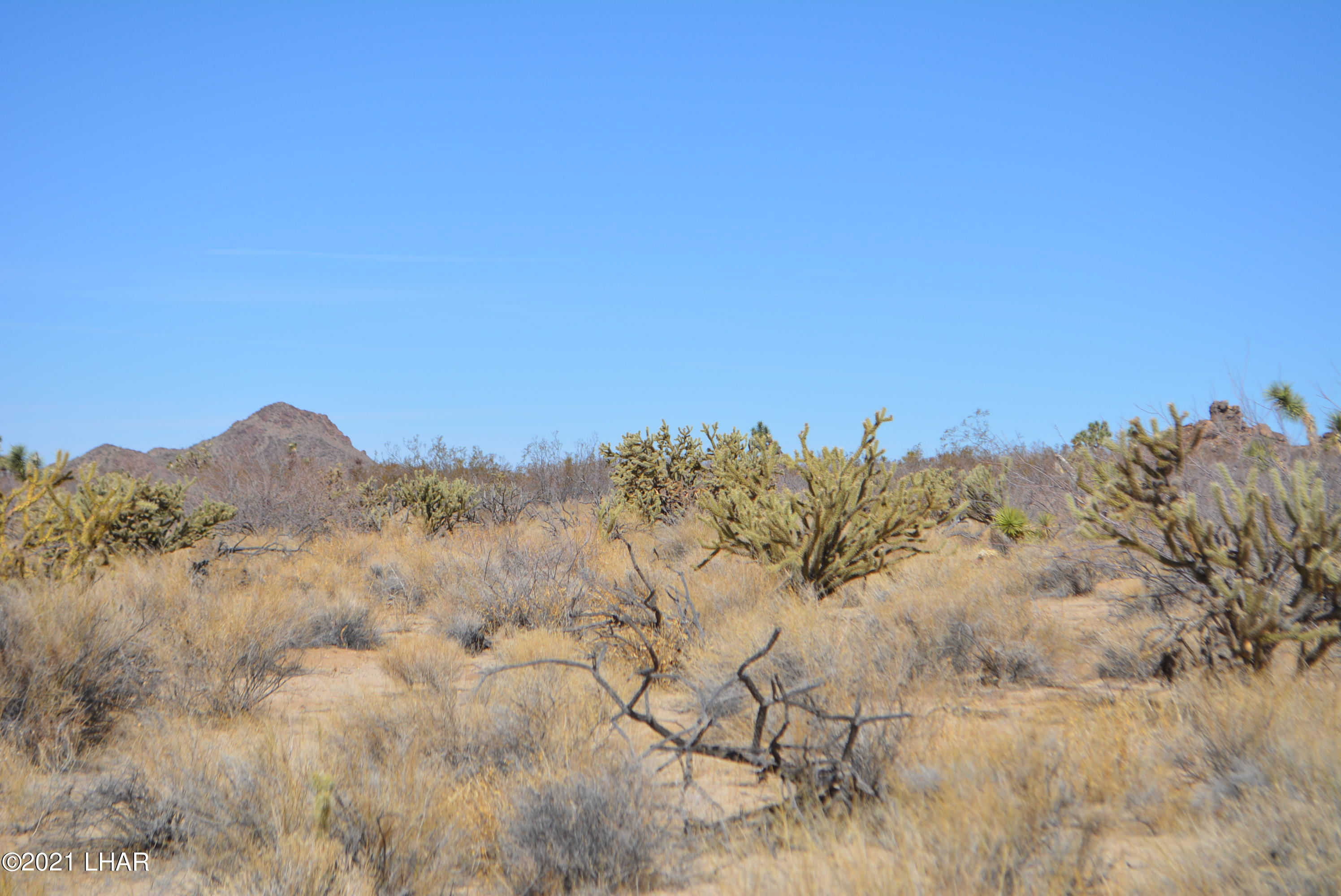 11591 Sherry Road Yucca, AZ 86438 - Photo 29 of 39 DSC_0788