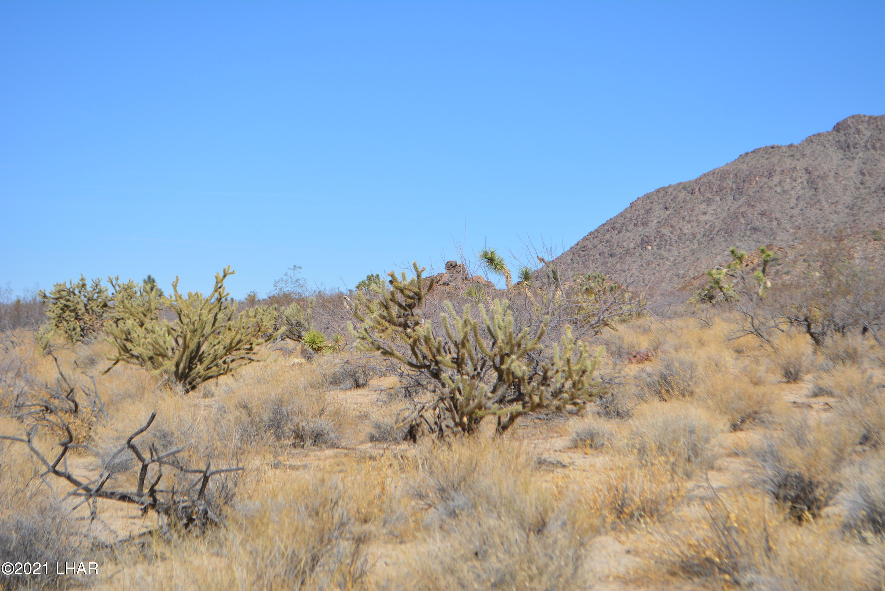 11591 Sherry Road Yucca, AZ 86438 - Photo 30 of 39 DSC_0789