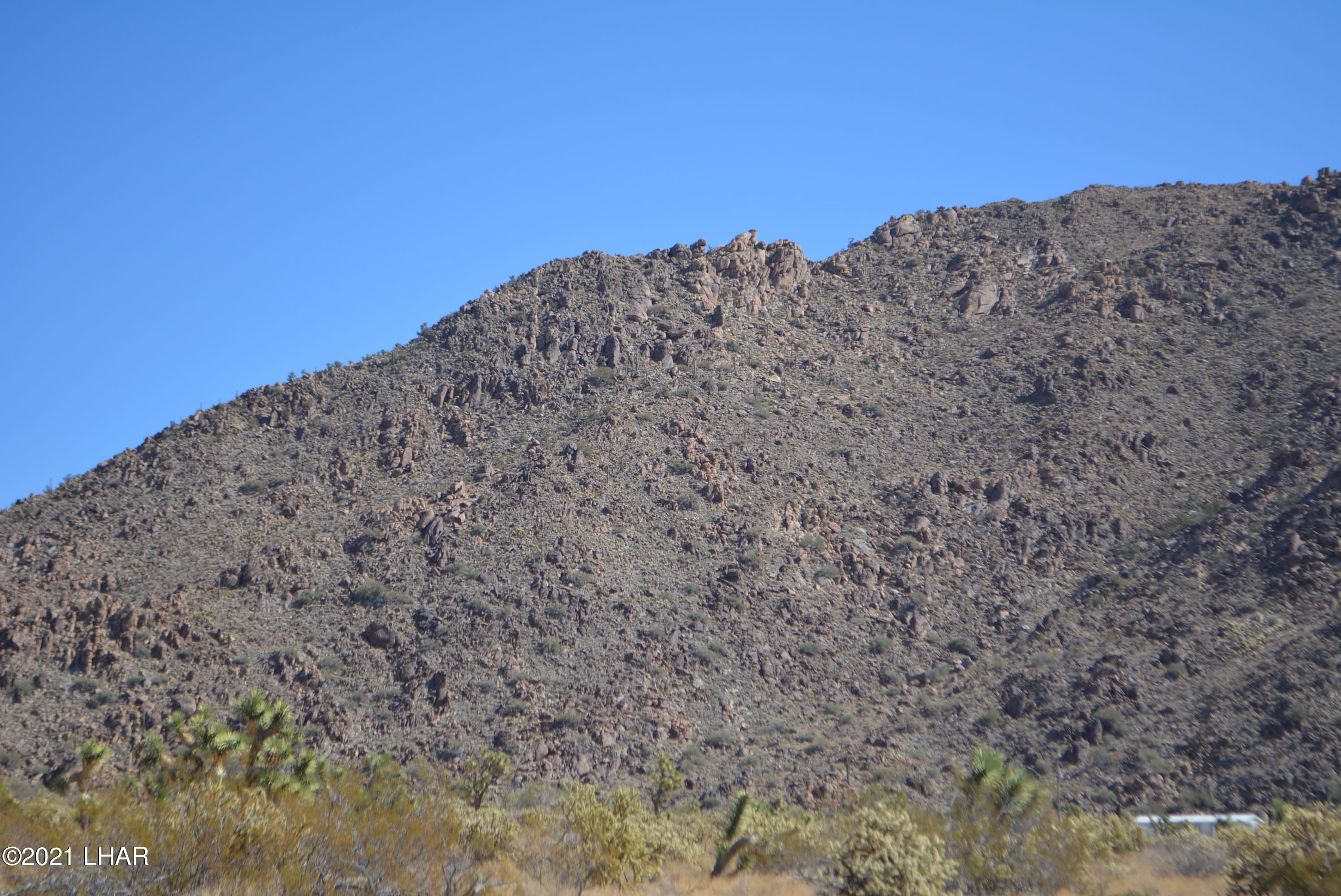 11591 Sherry Road Yucca, AZ 86438 - Photo 3 of 39 DSC_0798