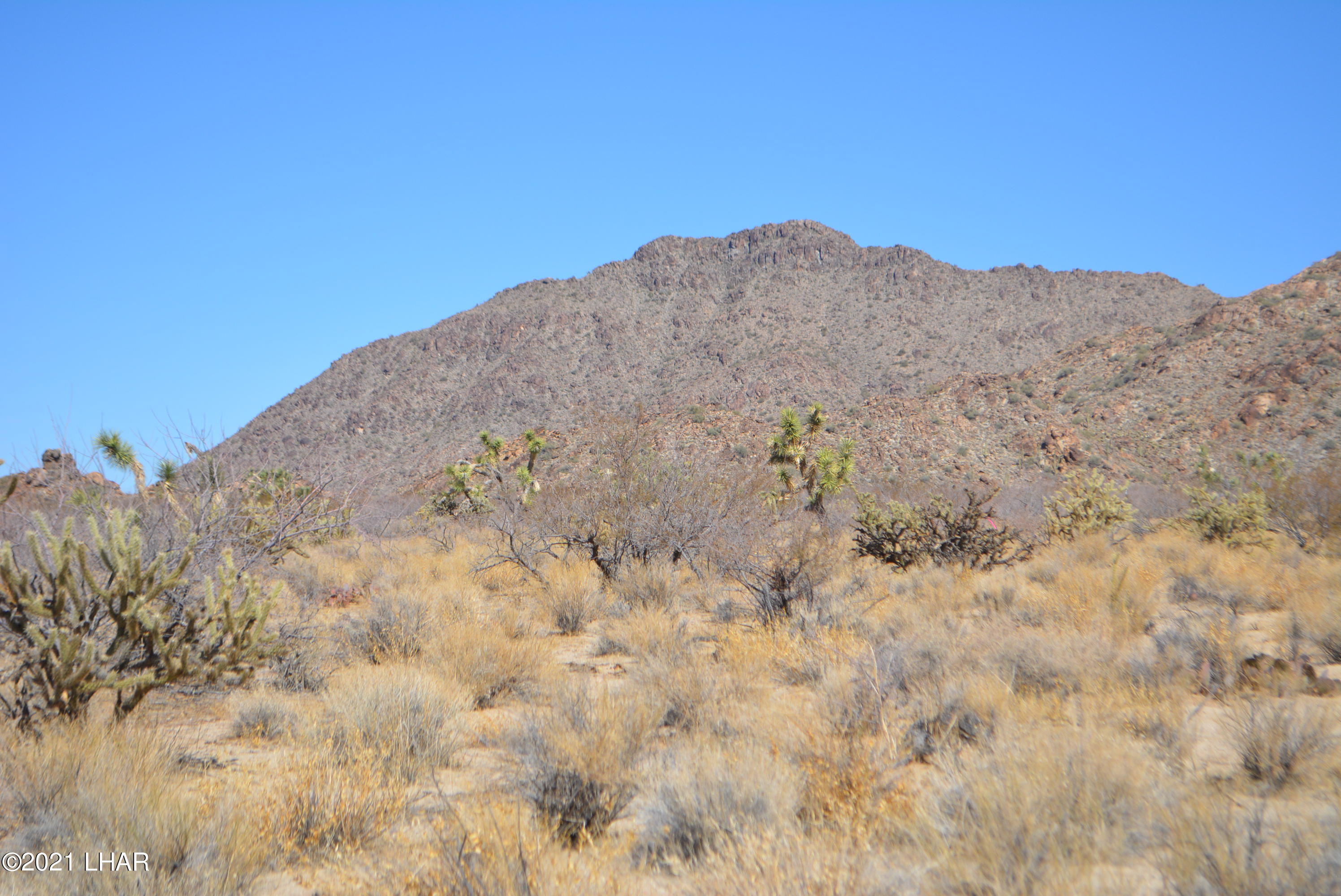 11591 Sherry Road Yucca, AZ 86438 - Photo 31 of 39 DSC_0790