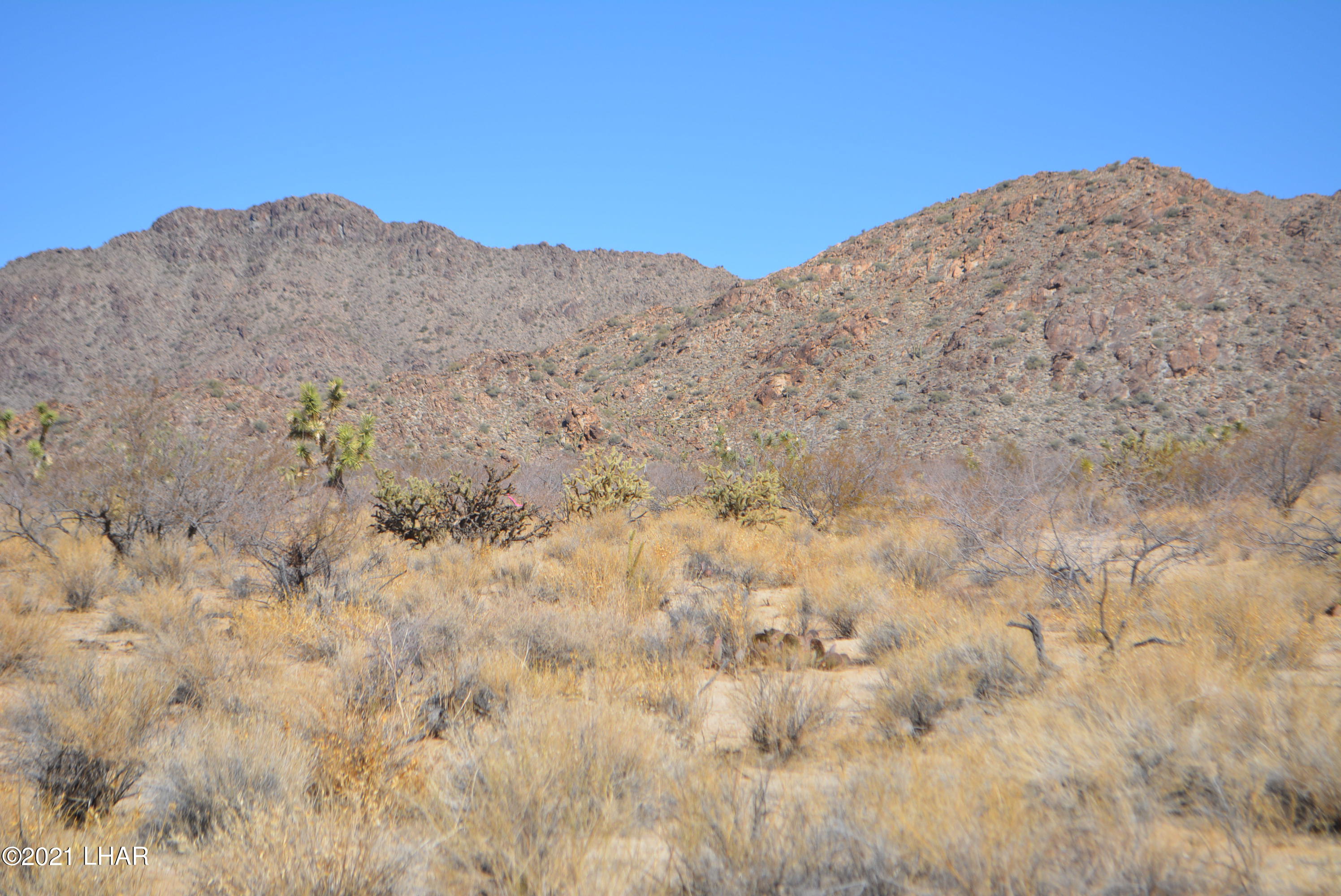 11591 Sherry Road Yucca, AZ 86438 - Photo 32 of 39 DSC_0791