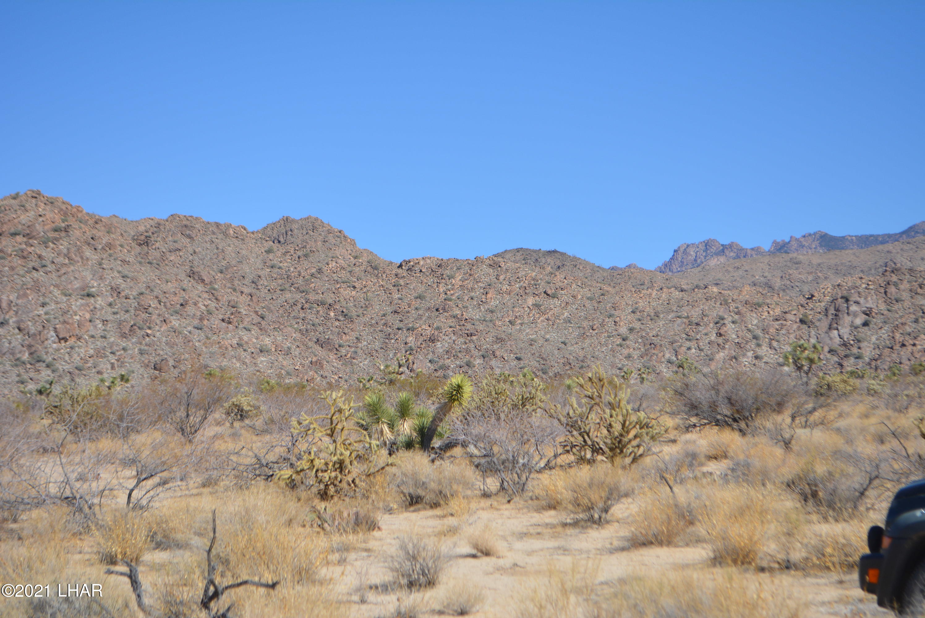 11591 Sherry Road Yucca, AZ 86438 - Photo 34 of 39 DSC_0793