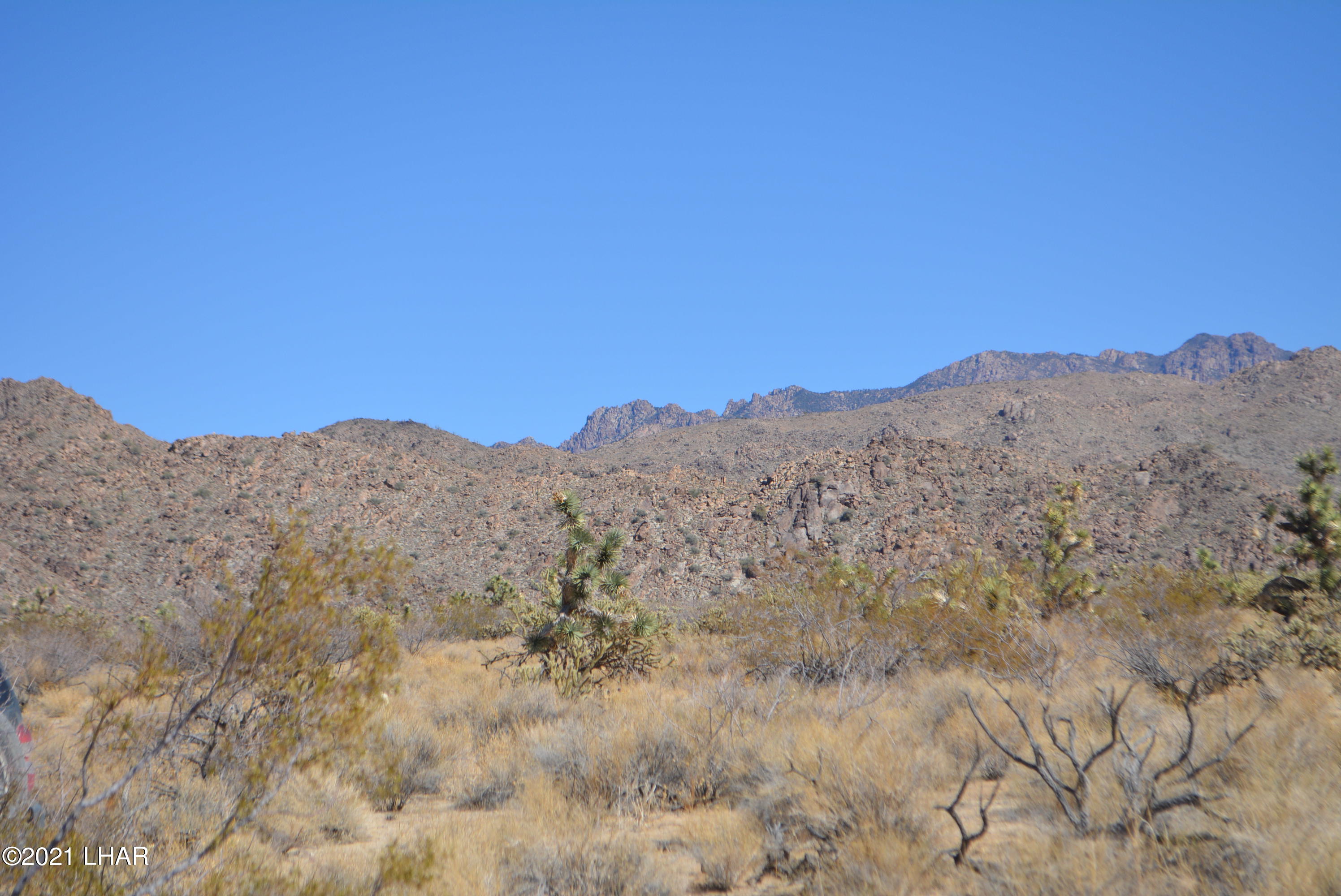 11591 Sherry Road Yucca, AZ 86438 - Photo 35 of 39 DSC_0794