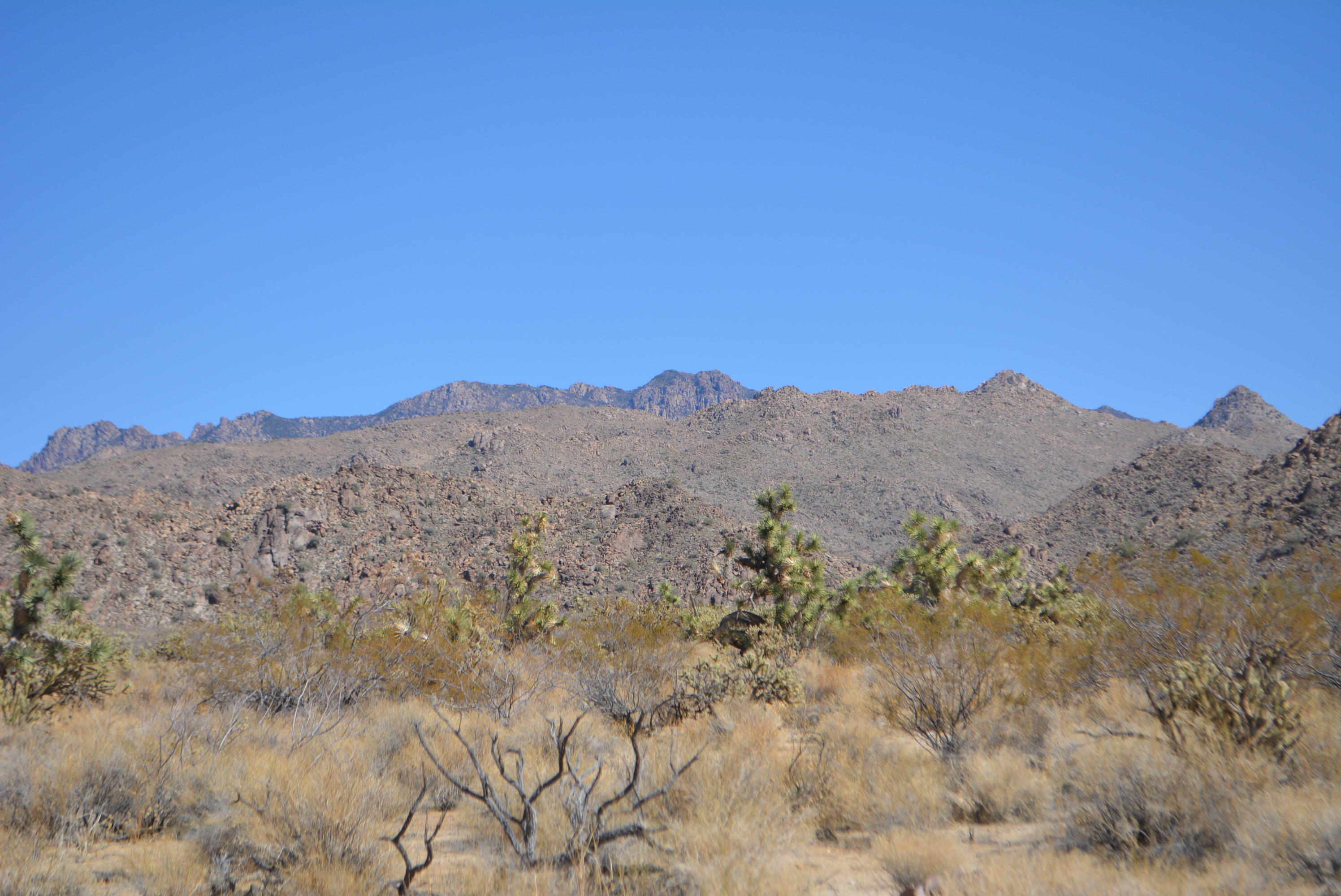 11591 Sherry Road Yucca, AZ 86438 - Photo 36 of 39 DSC_0795