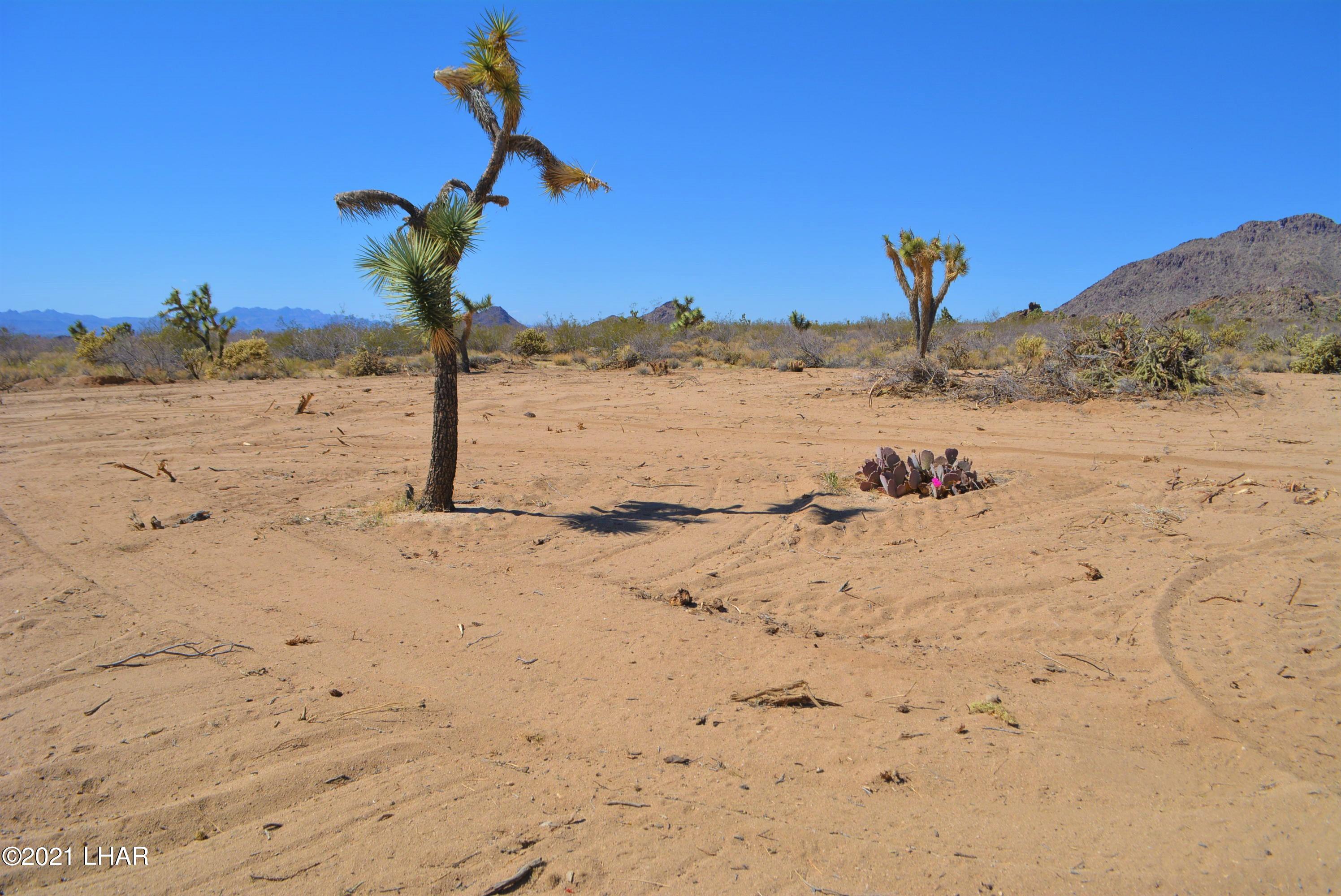 11591 Sherry Road Yucca, AZ 86438 - Photo 39 of 39 DSC_0051
