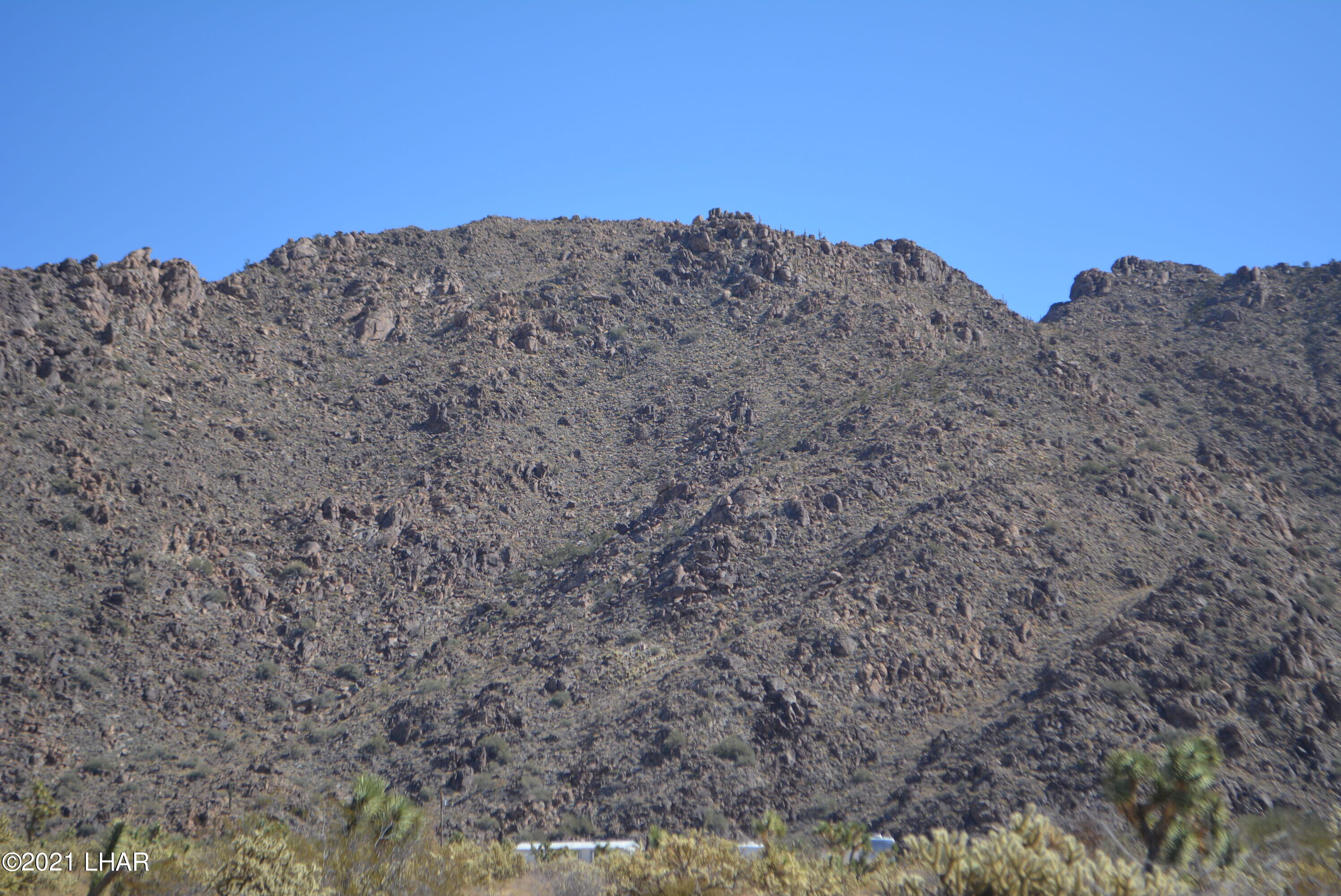 11591 Sherry Road Yucca, AZ 86438 - Photo 4 of 39 DSC_0799
