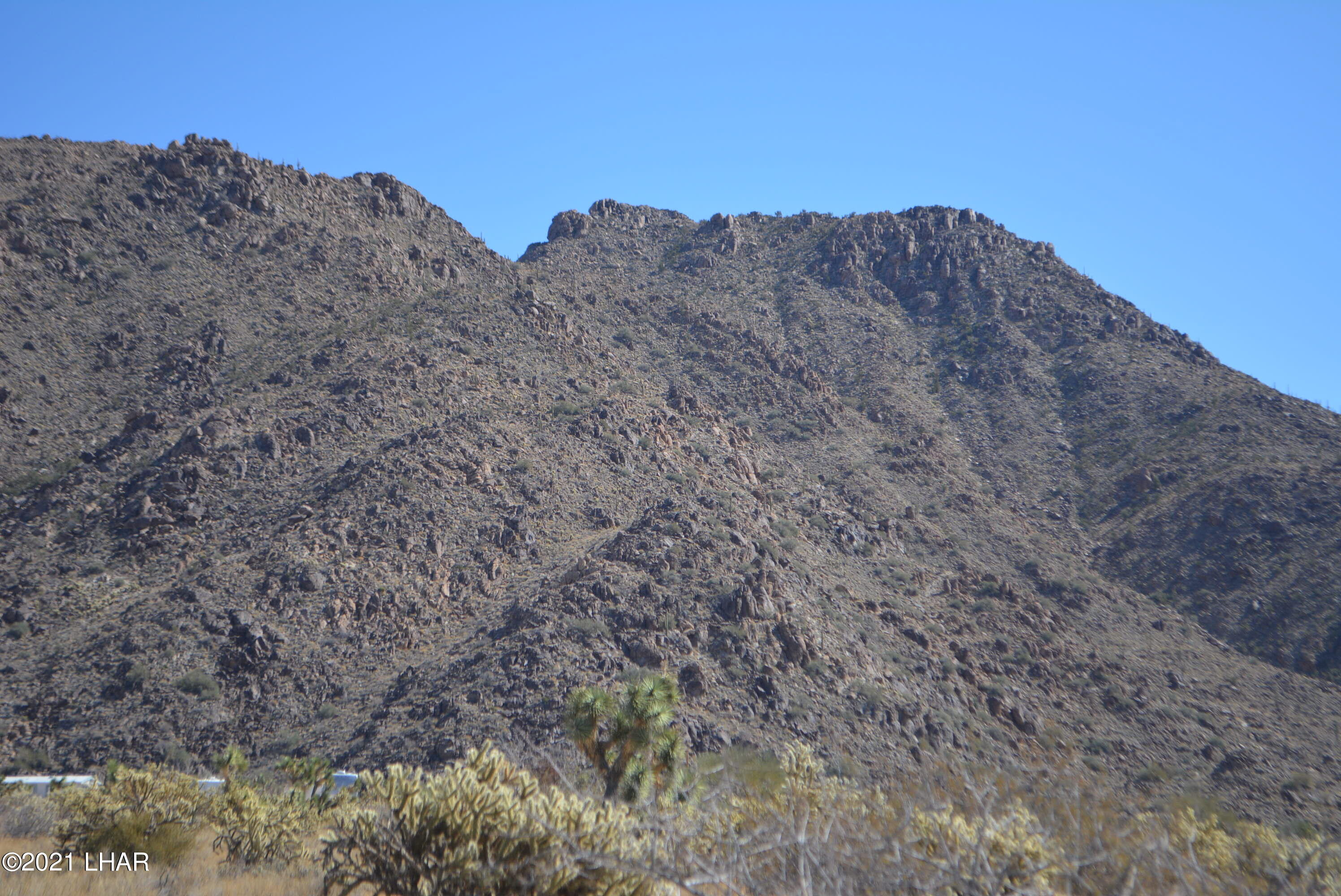 11591 Sherry Road Yucca, AZ 86438 - Photo 5 of 39 DSC_0800