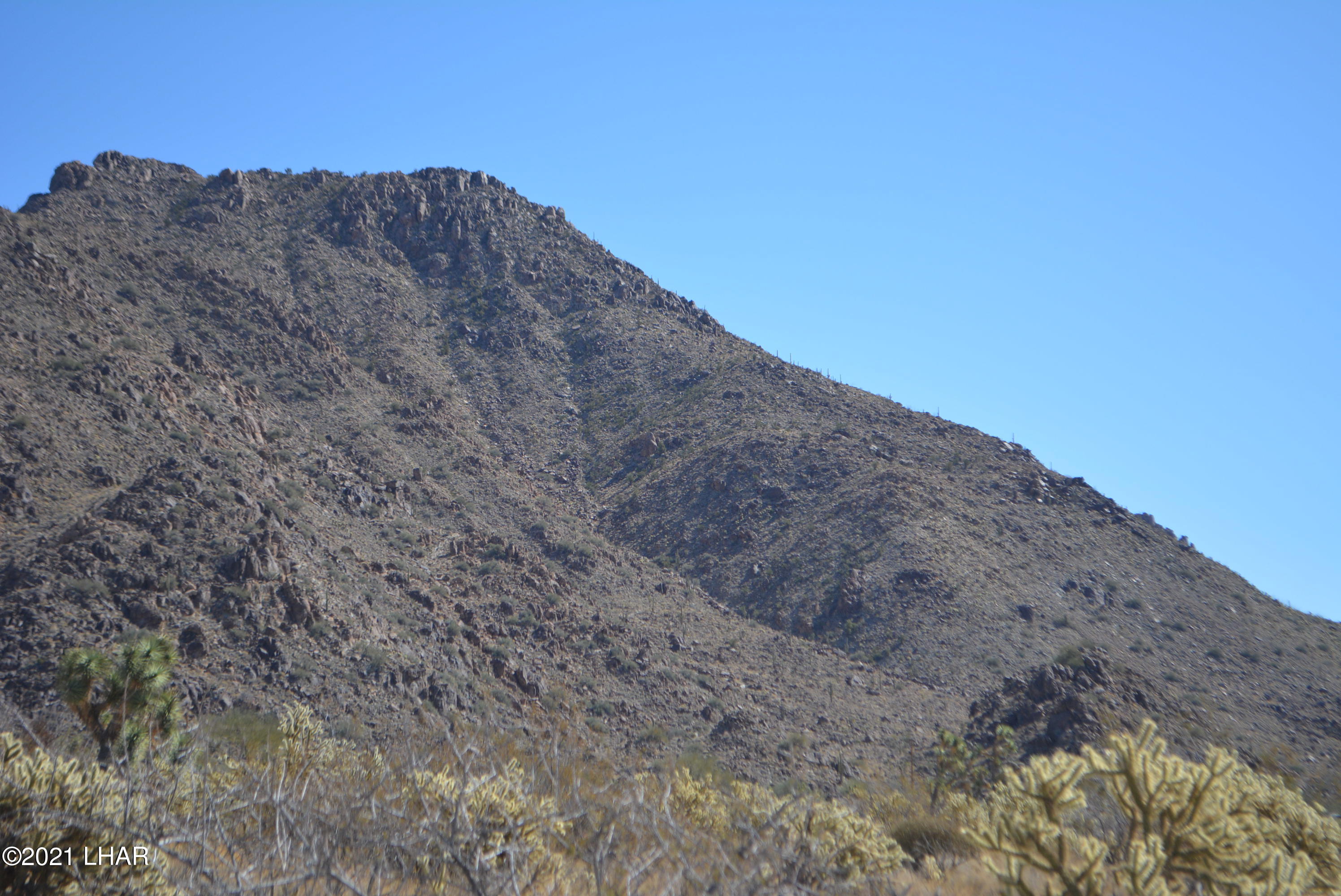 11591 Sherry Road Yucca, AZ 86438 - Photo 6 of 39 DSC_0801