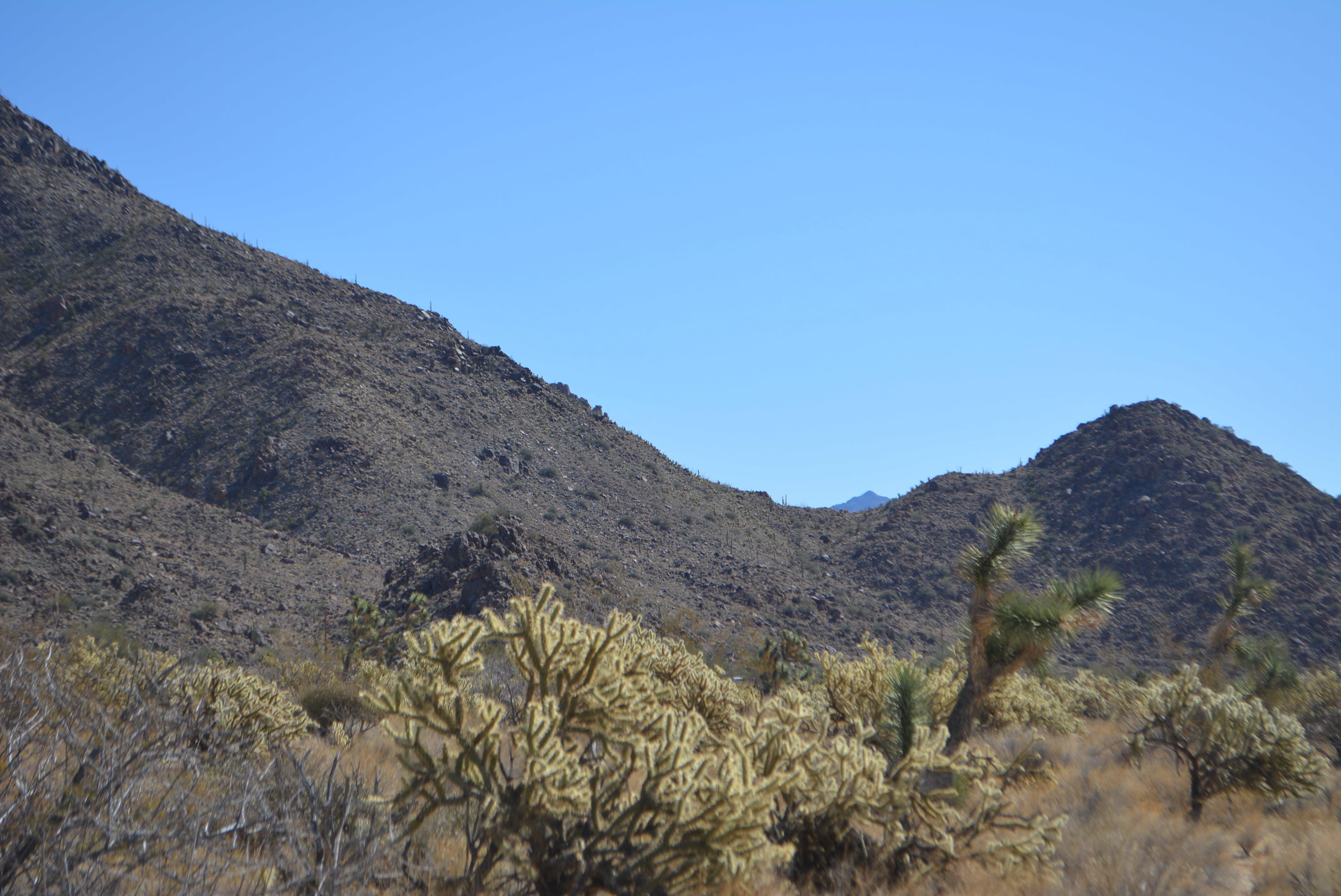 11591 Sherry Road Yucca, AZ 86438 - Photo 7 of 39 DSC_0802