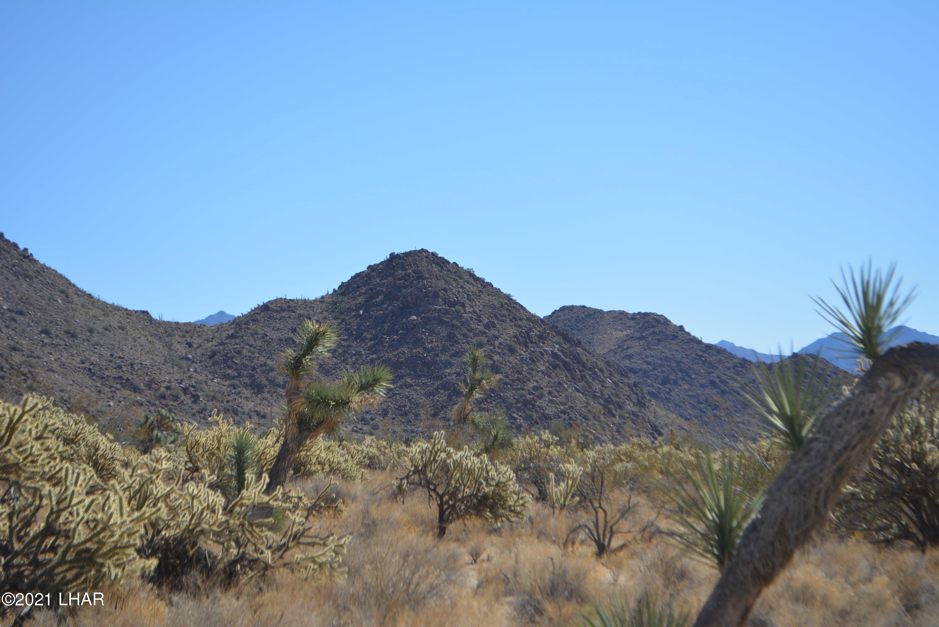 11591 Sherry Road Yucca, AZ 86438 - Photo 8 of 39 DSC_0803