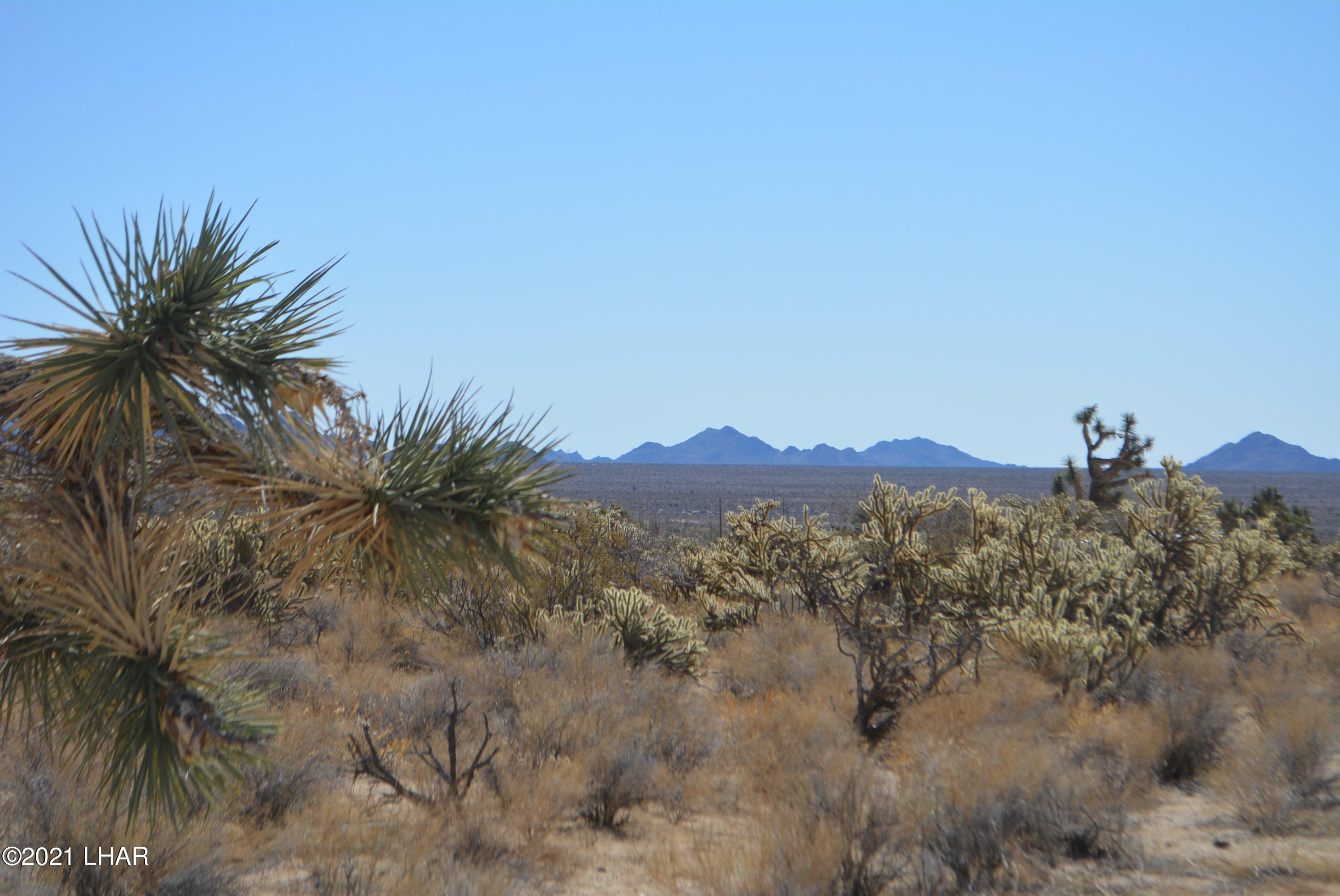 11591 Sherry Road Yucca, AZ 86438 - Photo 10 of 39 DSC_0805