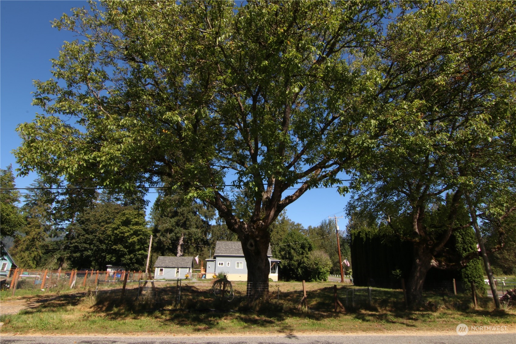 5296 Turkington Road Acme, WA 98220 - Photo 3 of 14