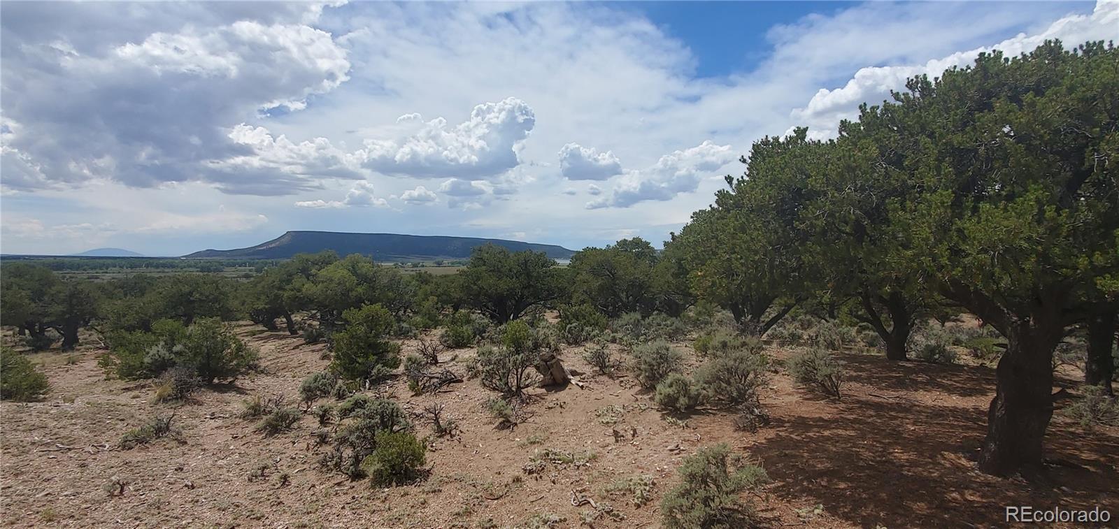 Lot3696 Branch Road Fort Garland, CO 81133 - Photo 13 of 20 Gallery Image 13