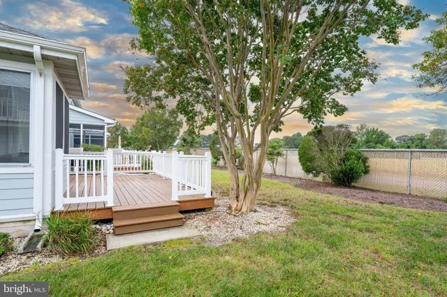 a view of a house with backyard and a tree