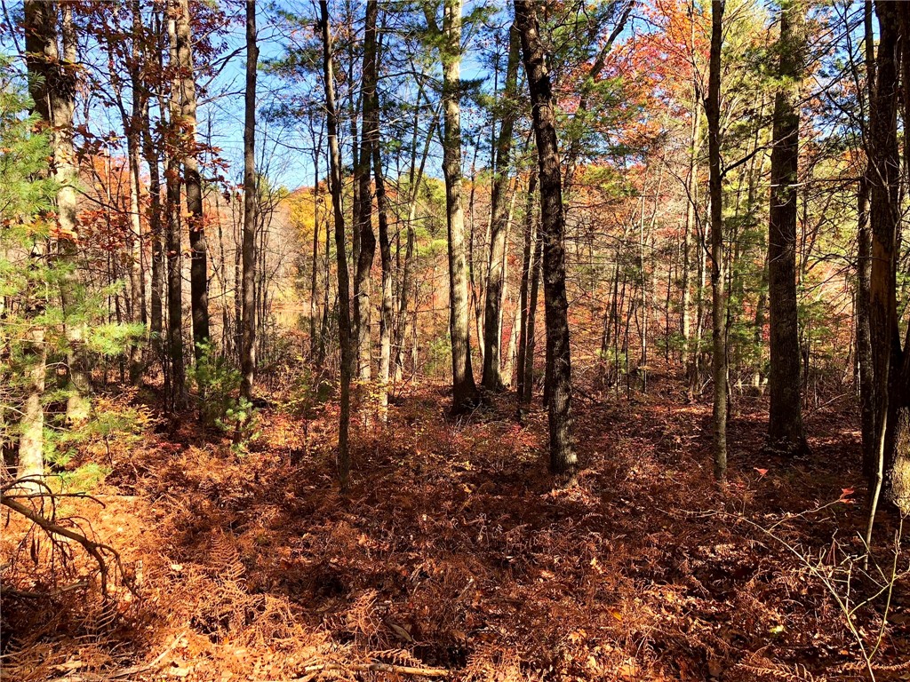 450 Log Road Smithfield, RI 02917 - Photo 27 of 49