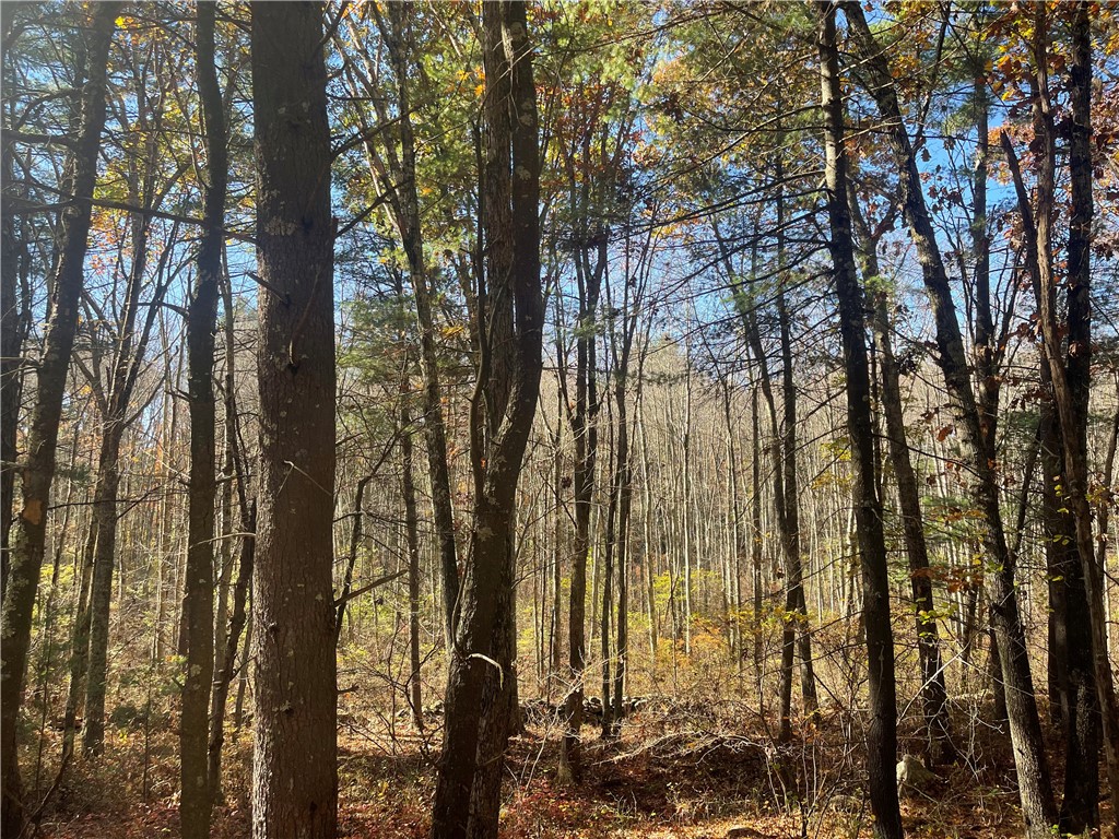 450 Log Road Smithfield, RI 02917 - Photo 30 of 49