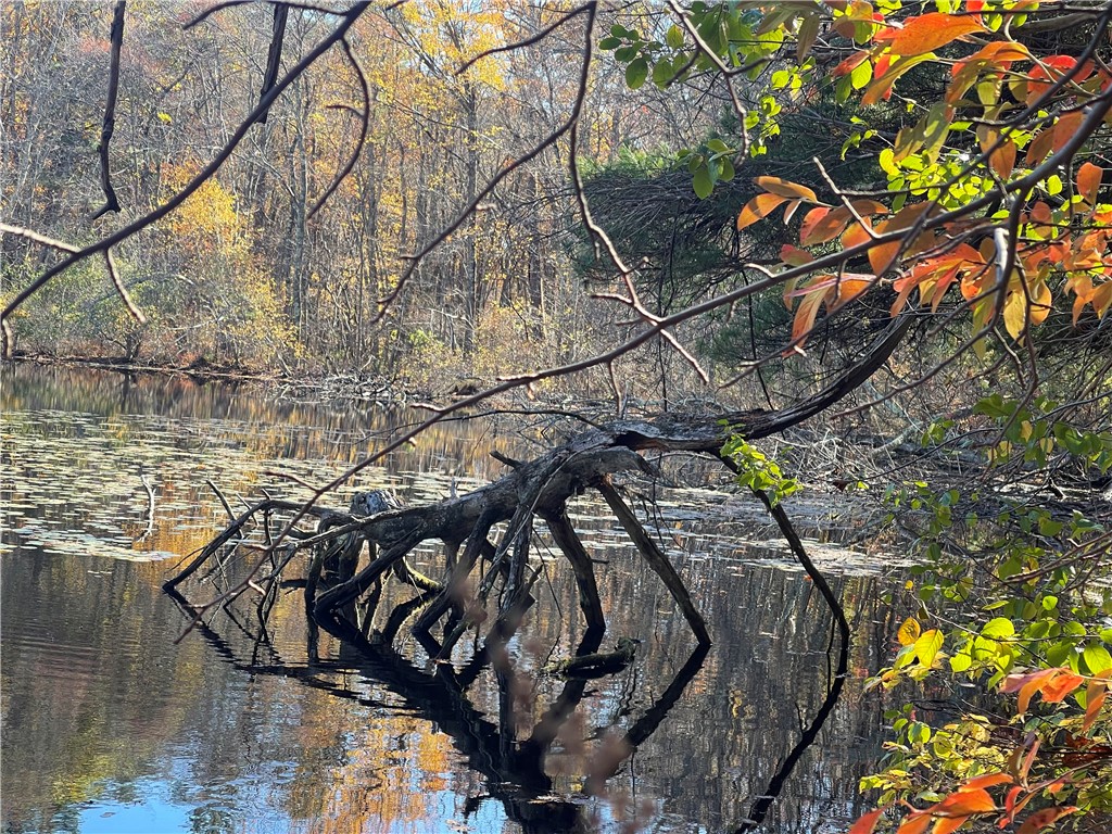 450 Log Road Smithfield, RI 02917 - Photo 38 of 49