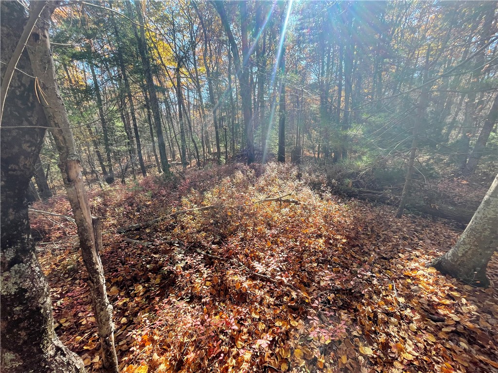 450 Log Road Smithfield, RI 02917 - Photo 39 of 49