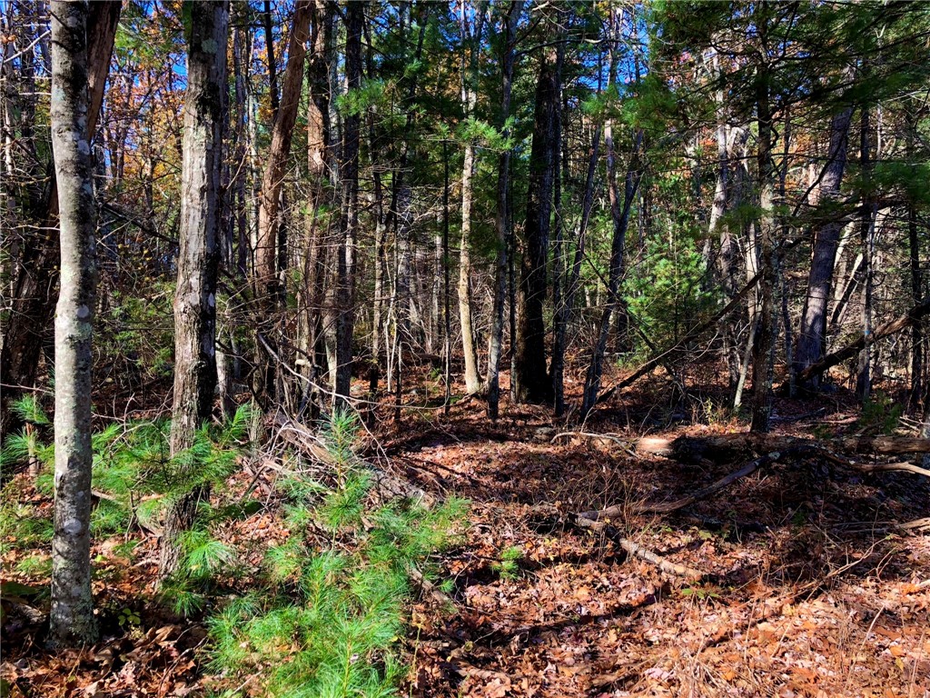 450 Log Road Smithfield, RI 02917 - Photo 42 of 49