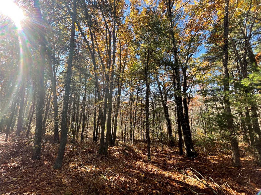 450 Log Road Smithfield, RI 02917 - Photo 44 of 49