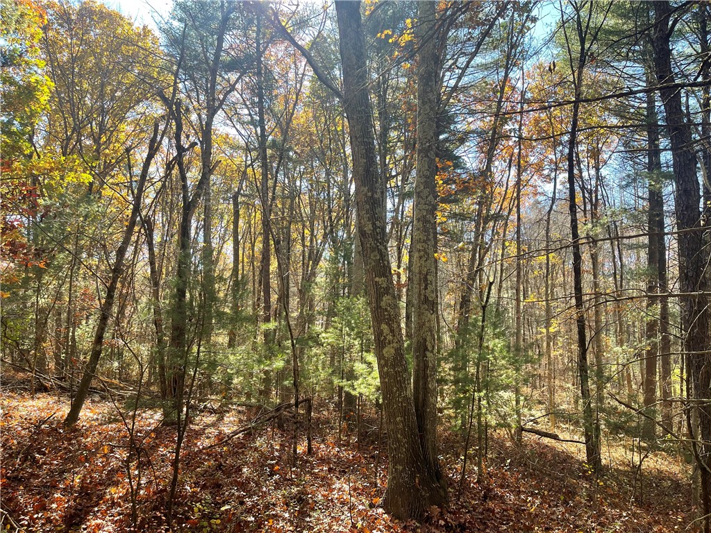 450 Log Road Smithfield, RI 02917 - Photo 45 of 49