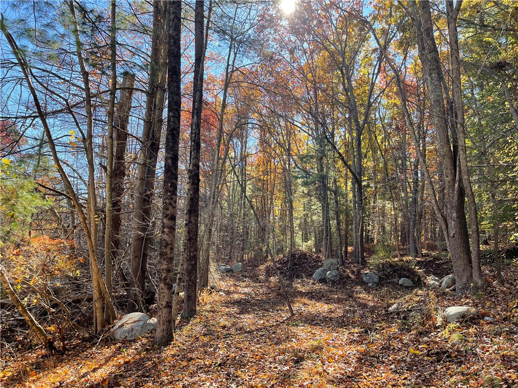 450 Log Road Smithfield, RI 02917 - Photo 47 of 49