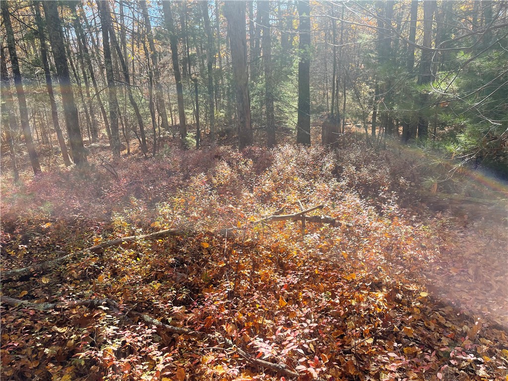 450 Log Road Smithfield, RI 02917 - Photo 49 of 49