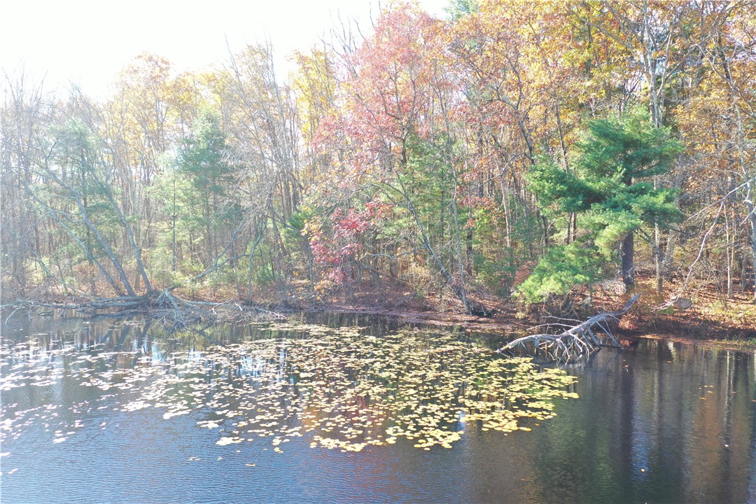 450 Log Road Smithfield, RI 02917 - Photo 5 of 49